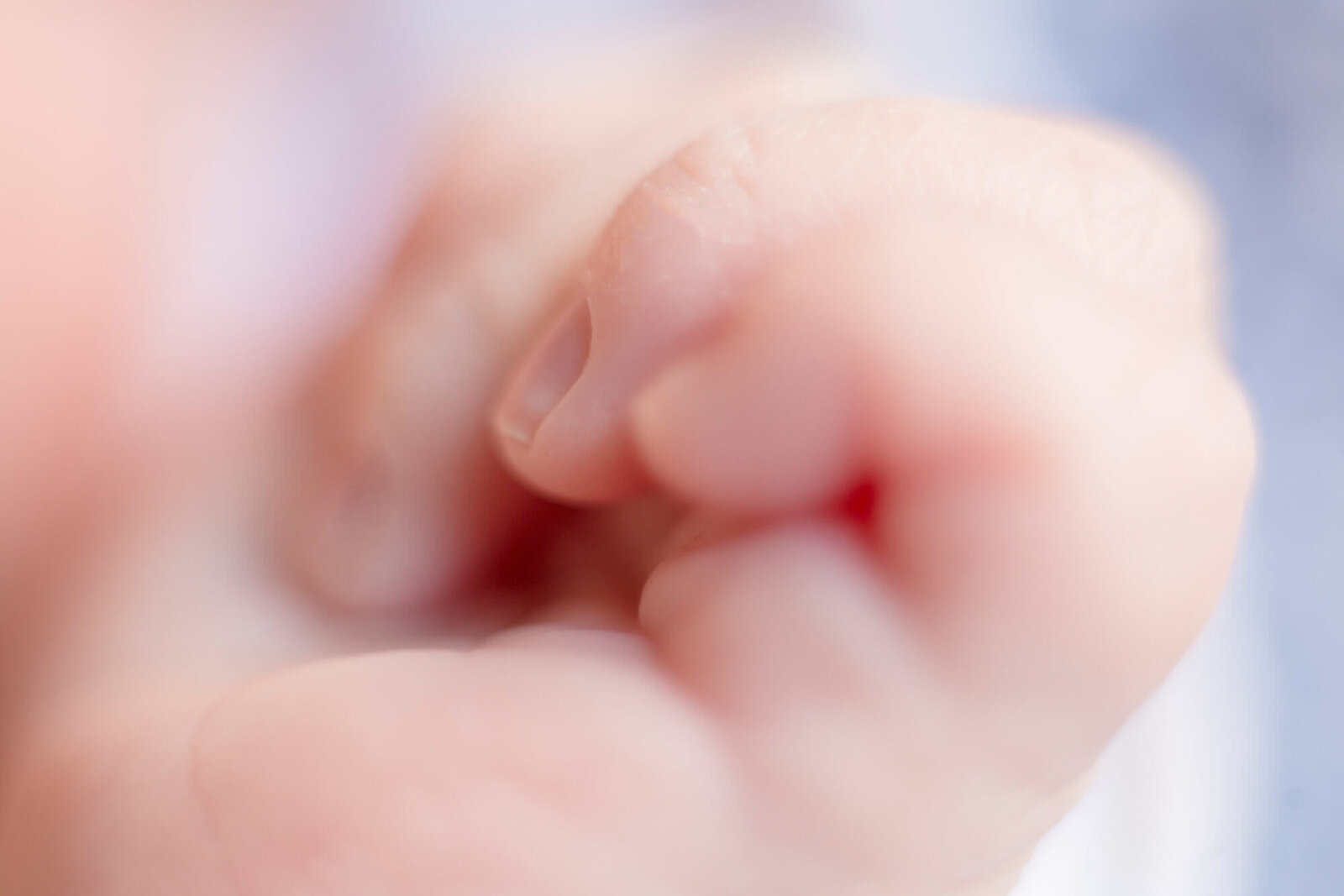 macro image of newborn baby finger