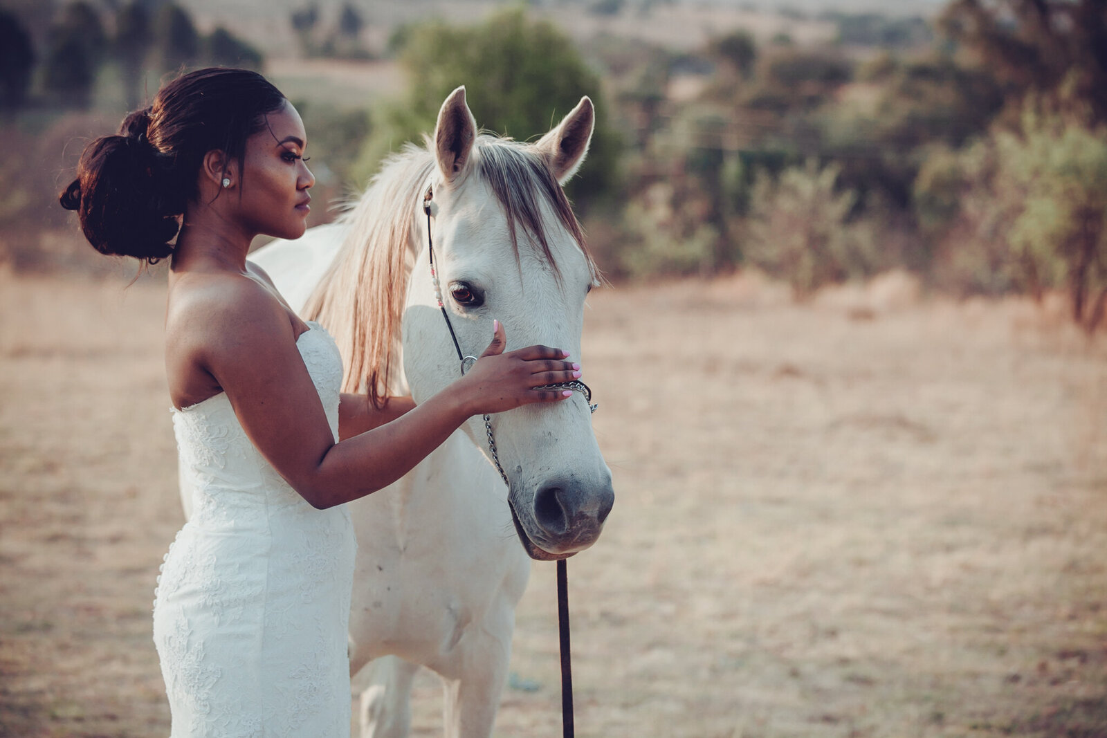 Bridal portraits with the horses at Cradle Valley in Muldersdrift