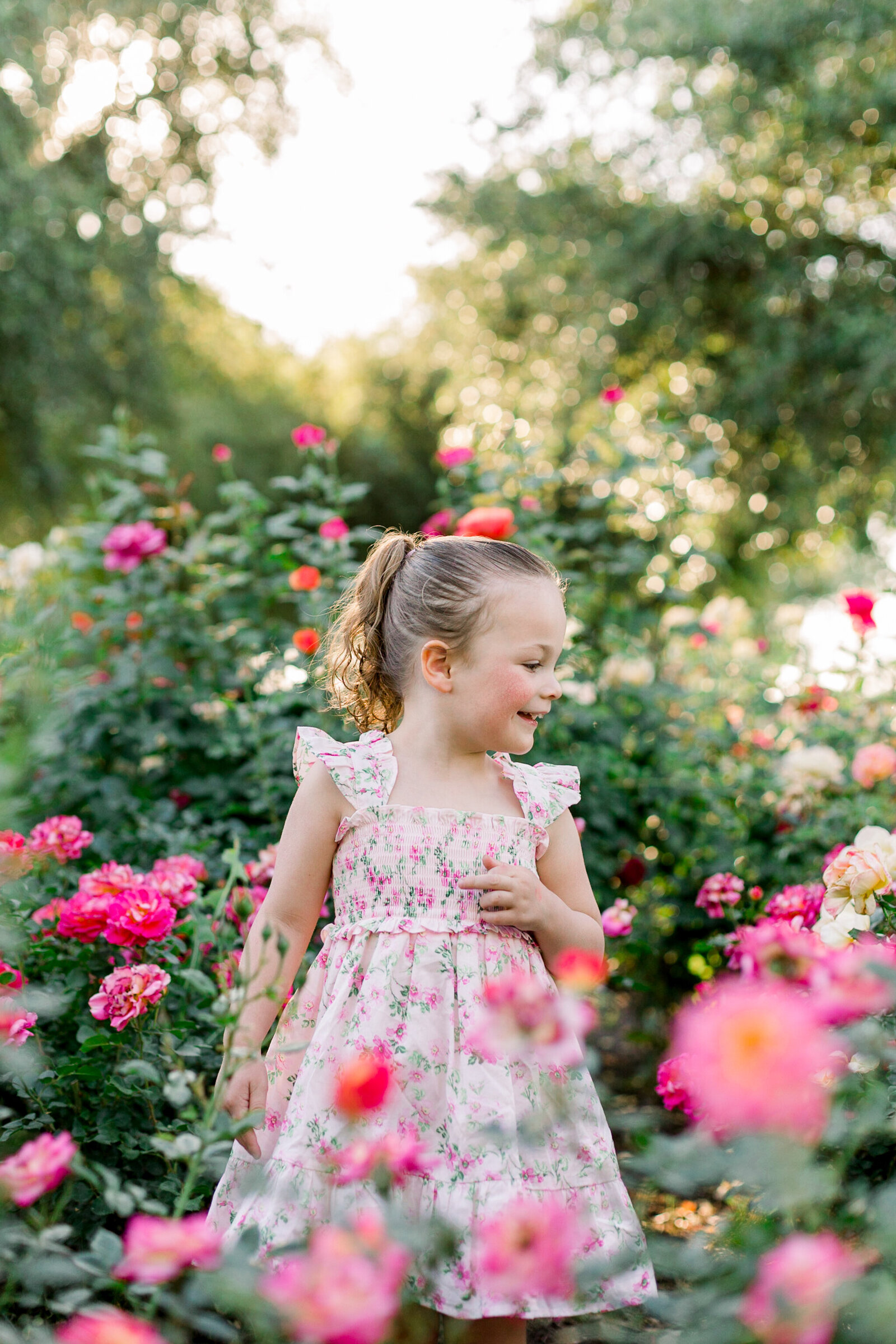 Aly-Kirk-Photo-rose-garden-0009