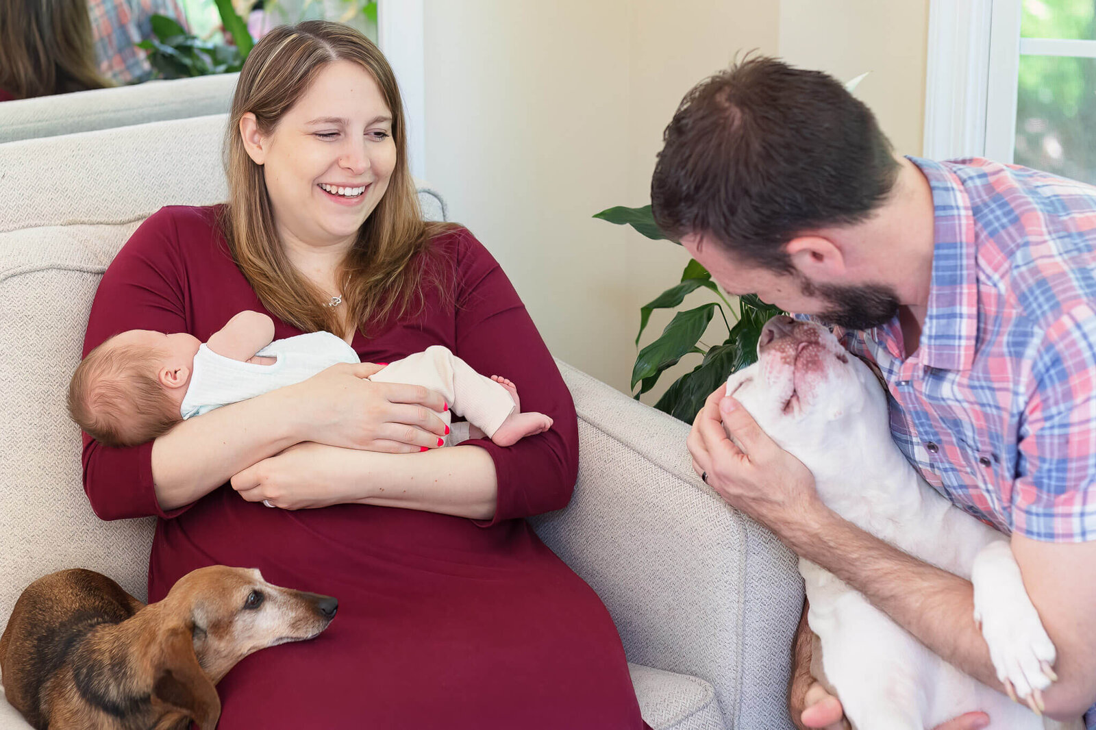 A mom holding her baby while one dog cuddles close to her and dad is playing with the big dog.