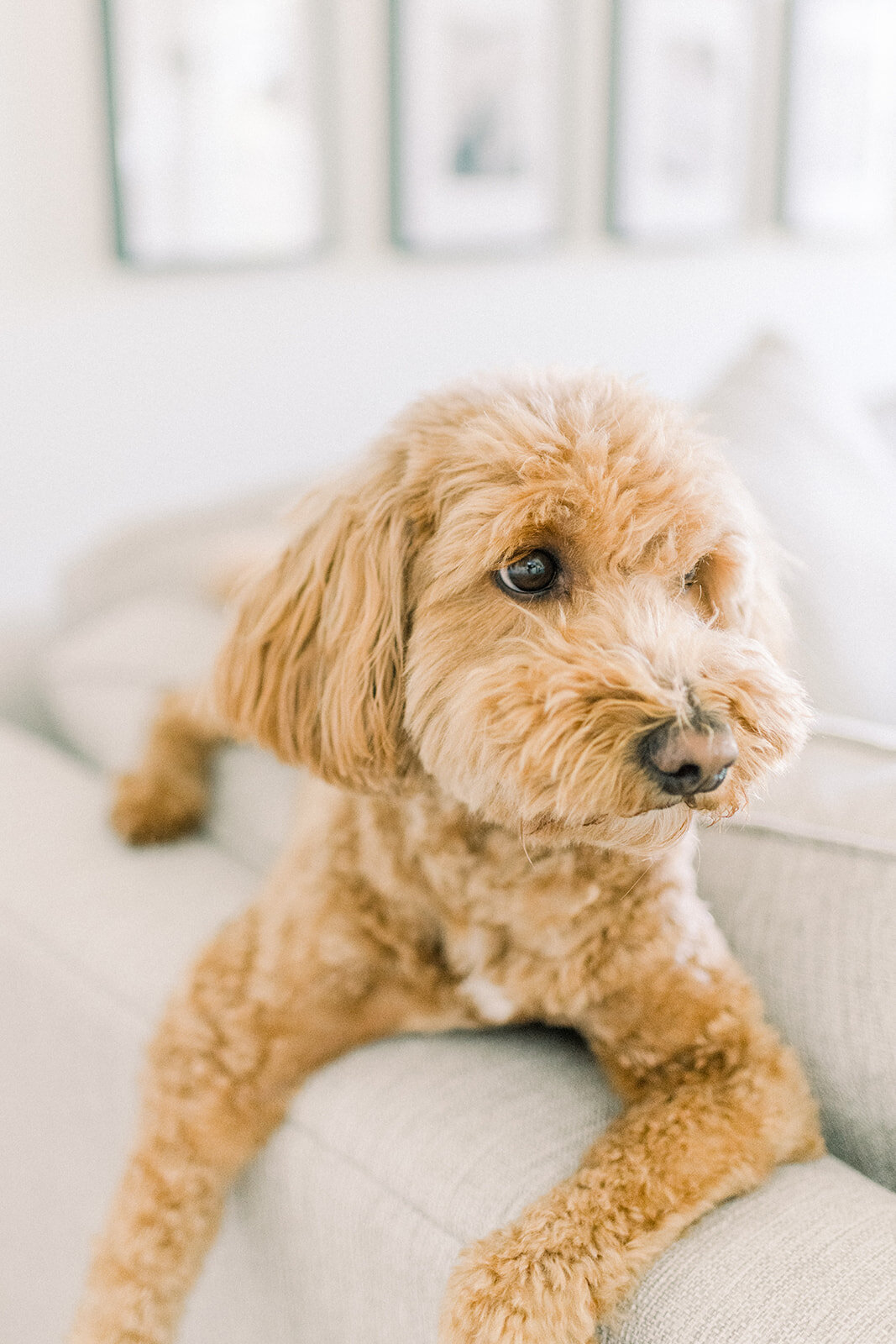 Tannahill Newborn _22-10