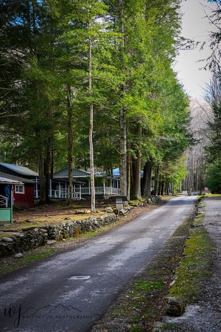 Elkmont Abandoned Town
