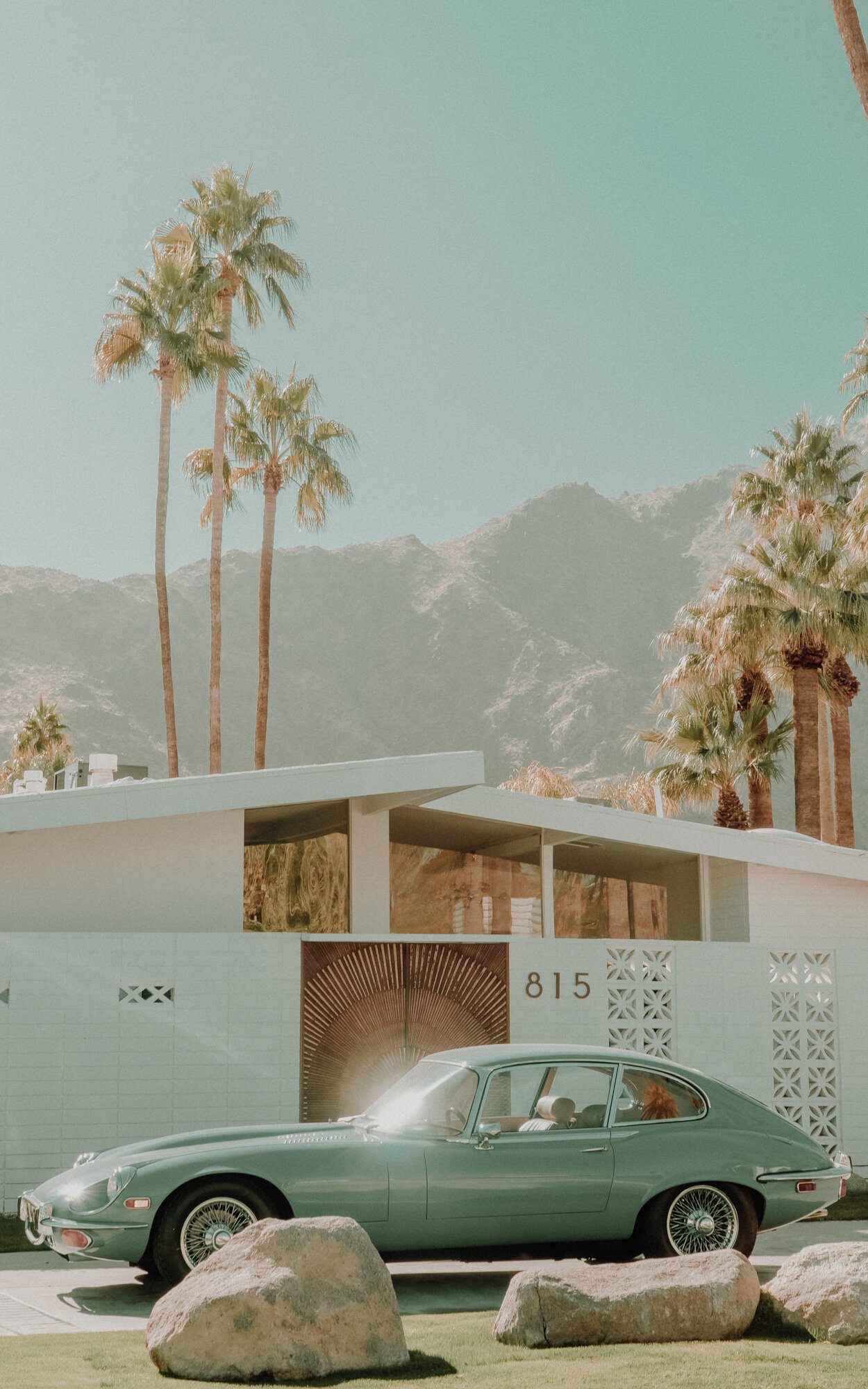 Dear Palm Springs-44
