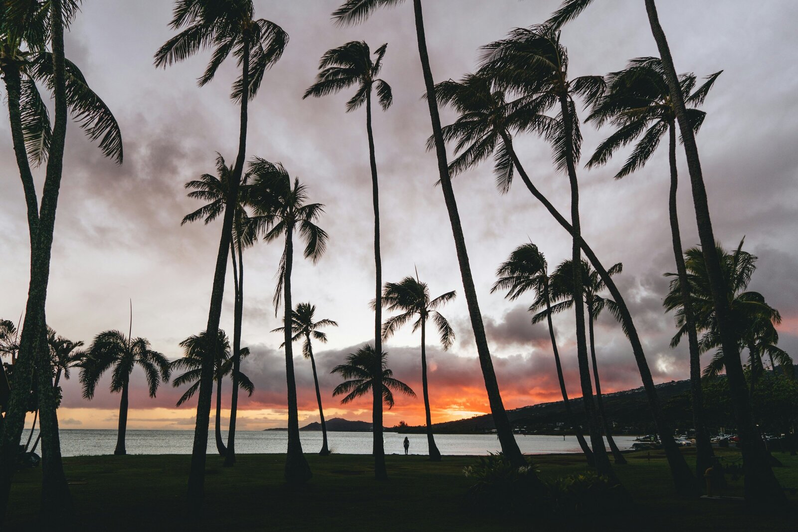 peter-thomas-Zn0WtisiNqY-unsplash