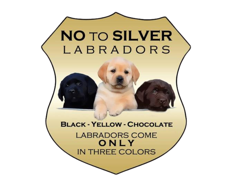 No to Silver Labradors Logo