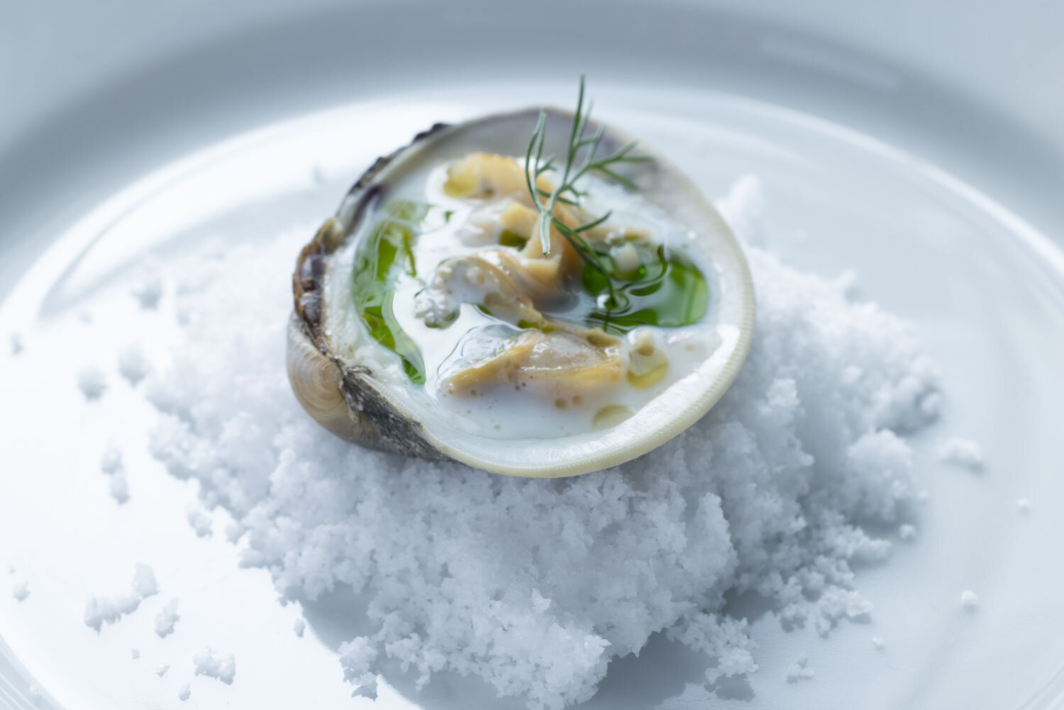 Clam shell filled with creamy seafood dish served on a bed of crushed ice