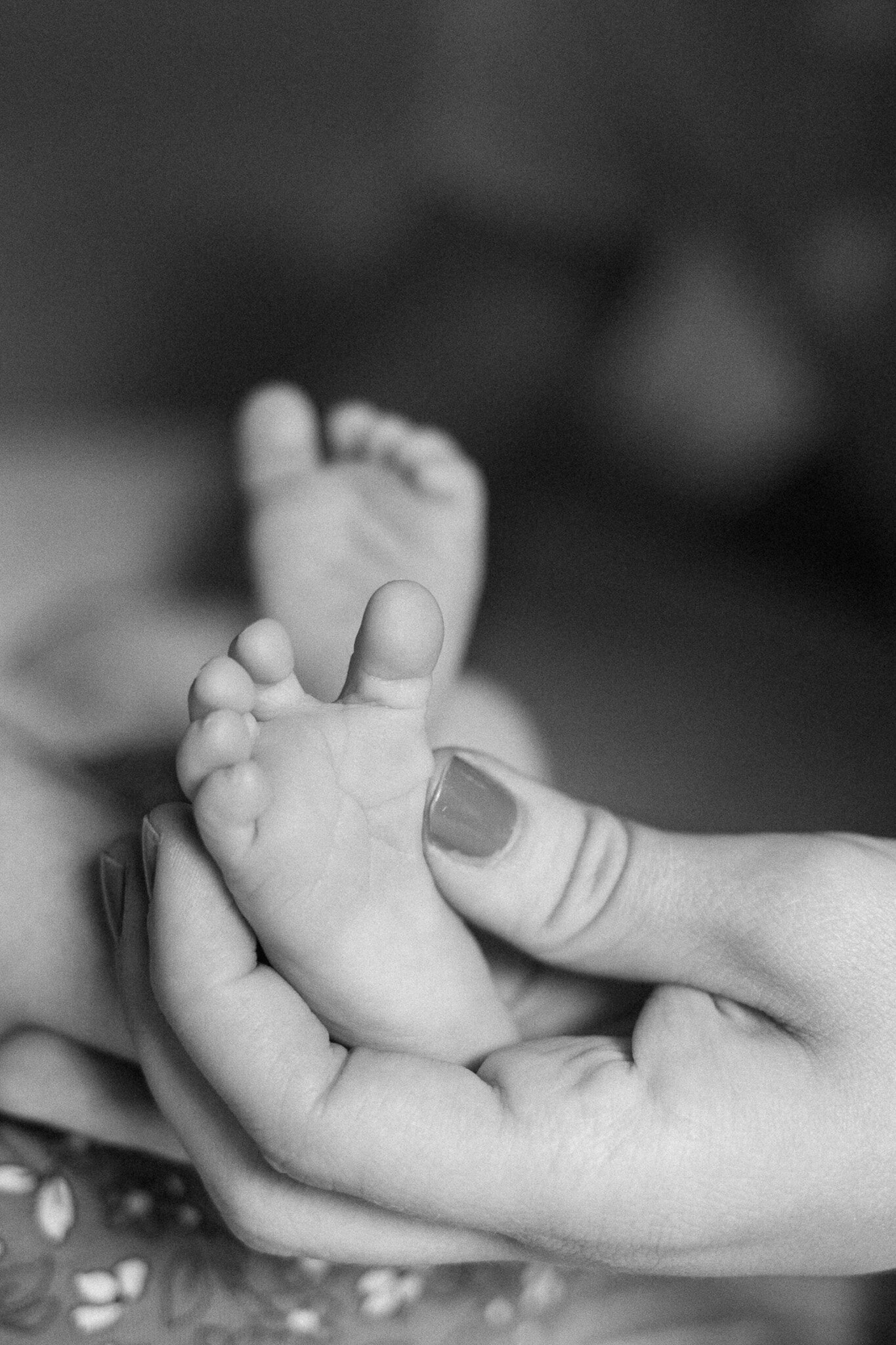 rock-hill-pineville-concord-ballantyne-nc-newborn-photographer (10)