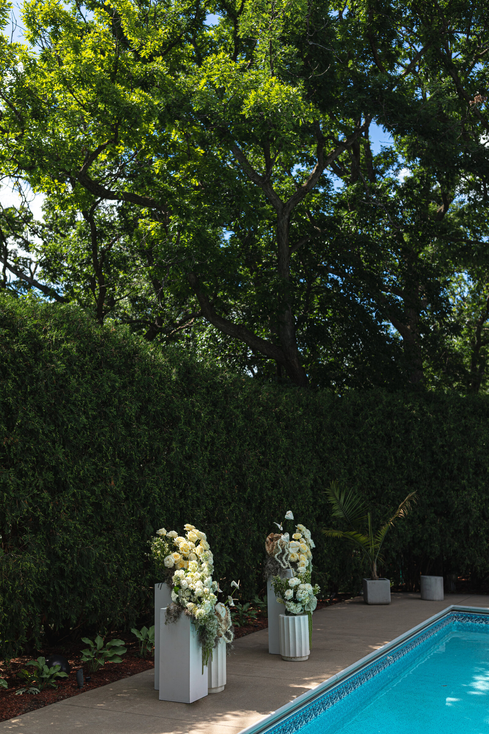 6-11-24 Emmie + Luke RLP Styled Shoot-52