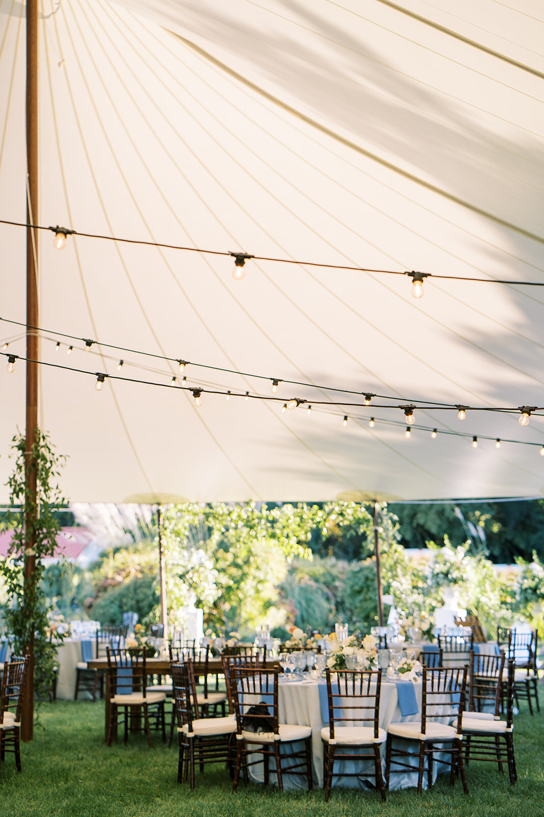 rachelpearlmanphotography_carlinivalis-2474