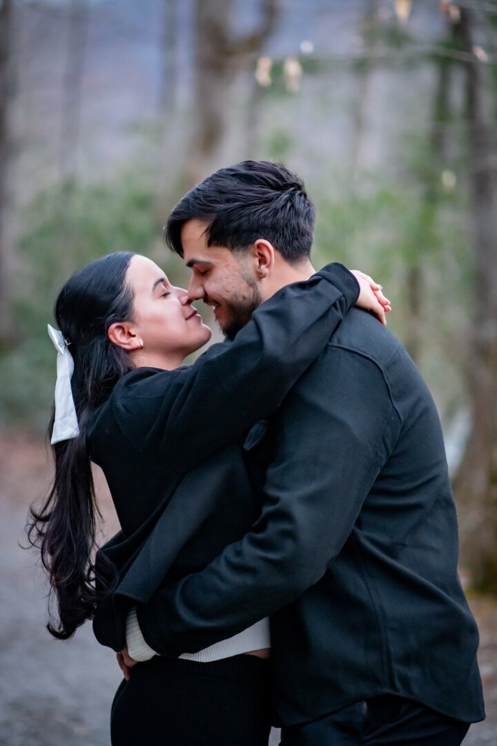 Great_Smoky_mountains_proposal