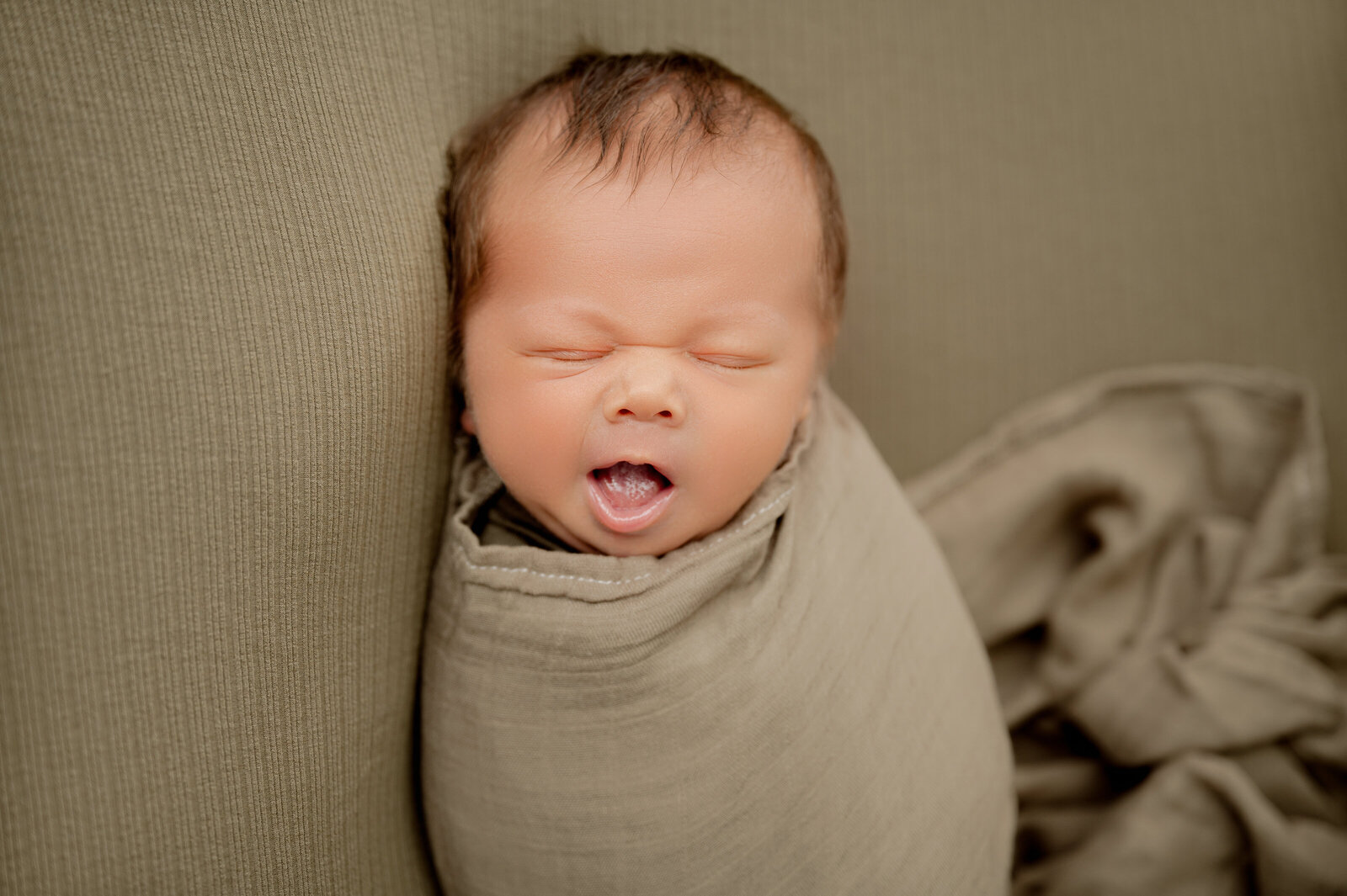 Minnesota Newborn and Family Photographer -  Nicole Hollenkamp - Central Minnesota DSC_0054