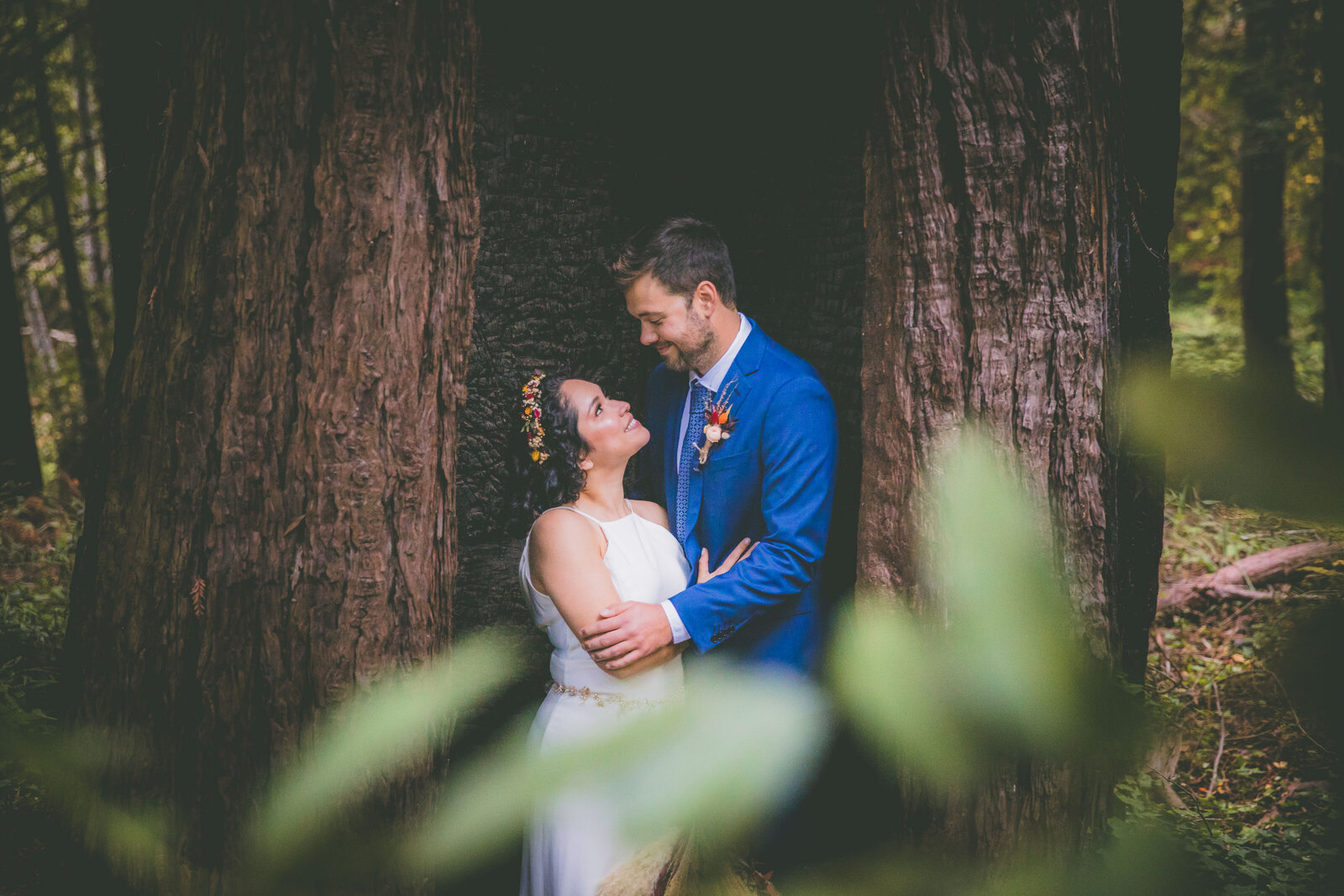 An eloping bride and groom pose for portraits in a redwood tree.