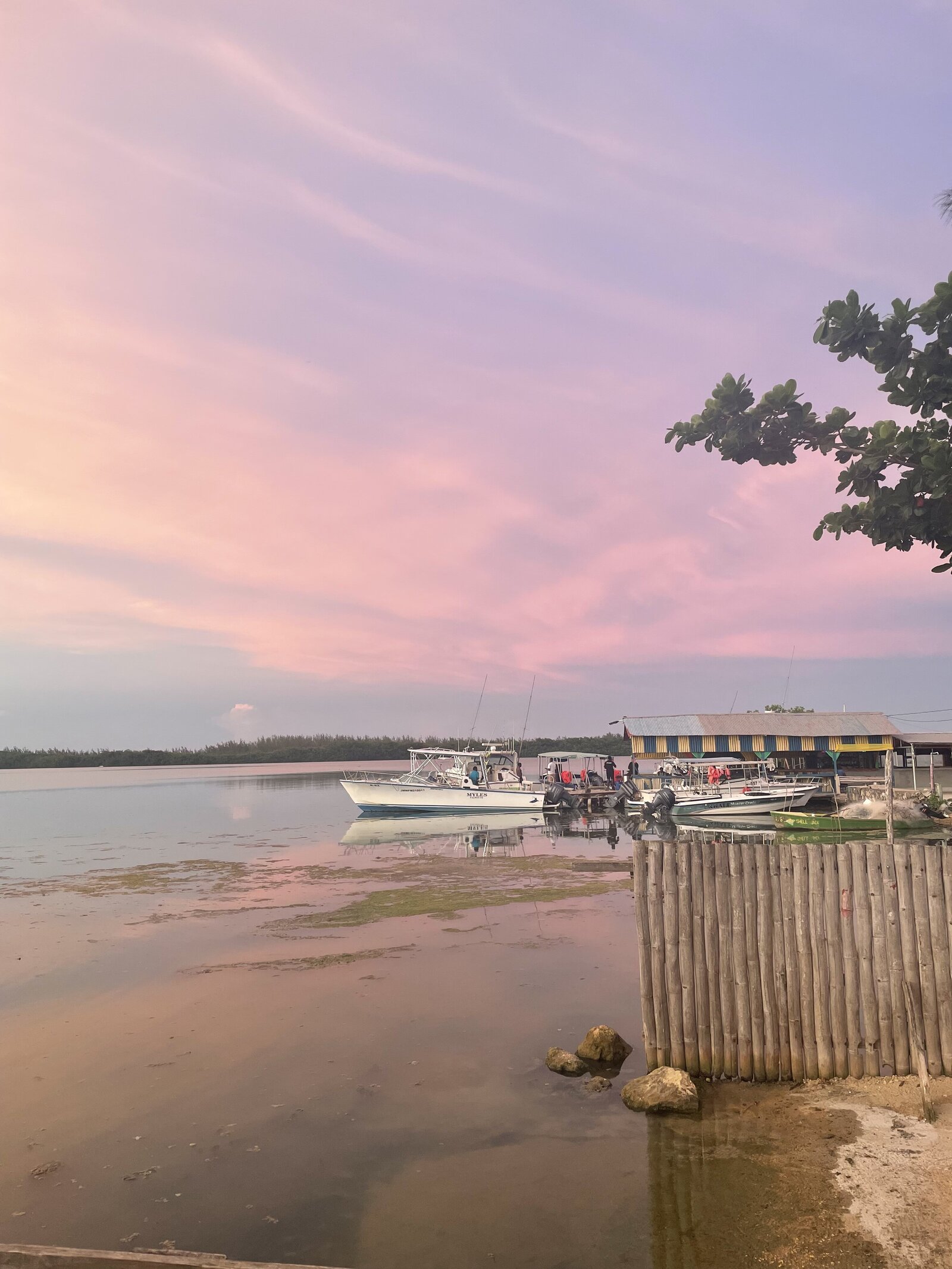 Jamaicasunset