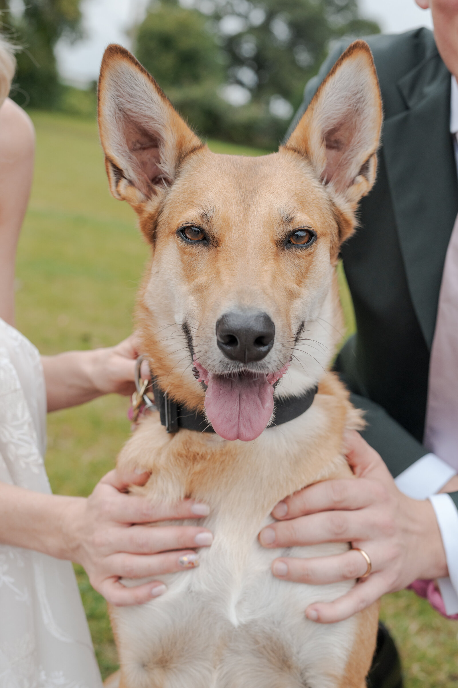 Wedding-Photographer-Brecon1584