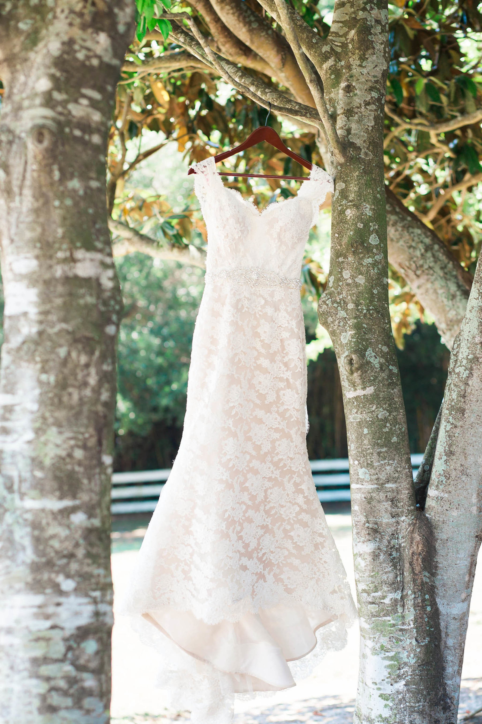 Wedding dress hangs off of tree branch, Alhambra Hall, Mt Pleasant, South Carolina
