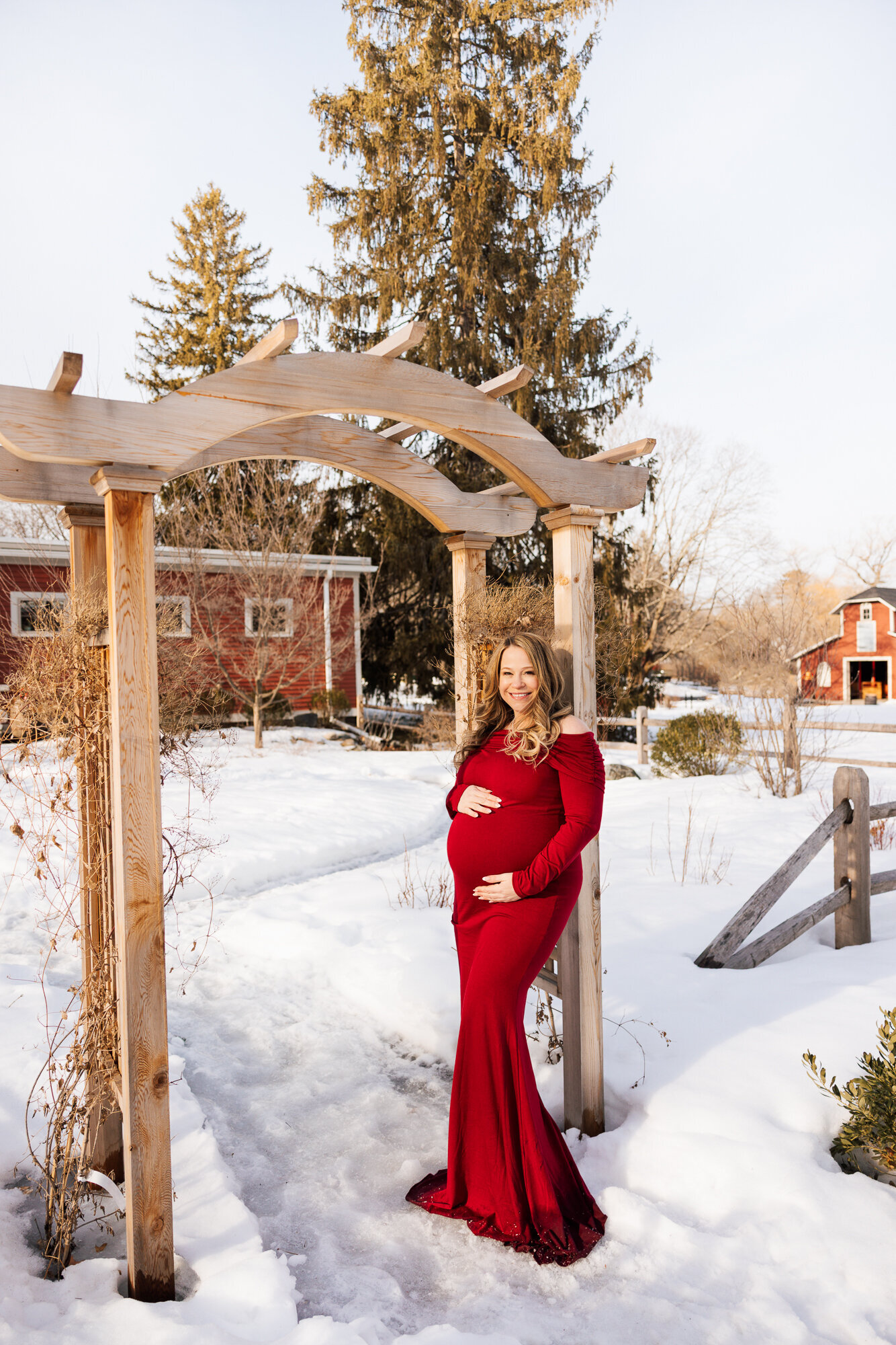 Boston-Newborn-Photographer-Alana-Sousa--24
