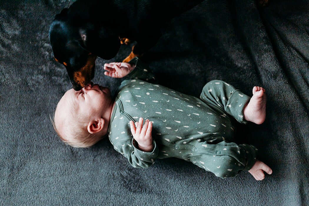 babyfotograafbrabant, newbornfotograafbrabant, zundert, rijsbergen, rucphen, zundert, bosschenhoofd, oudenbosch, bavel, ulvenhout, breda, roosendaal, halderberge, bergenopzoom,  schijf, rijsbergen