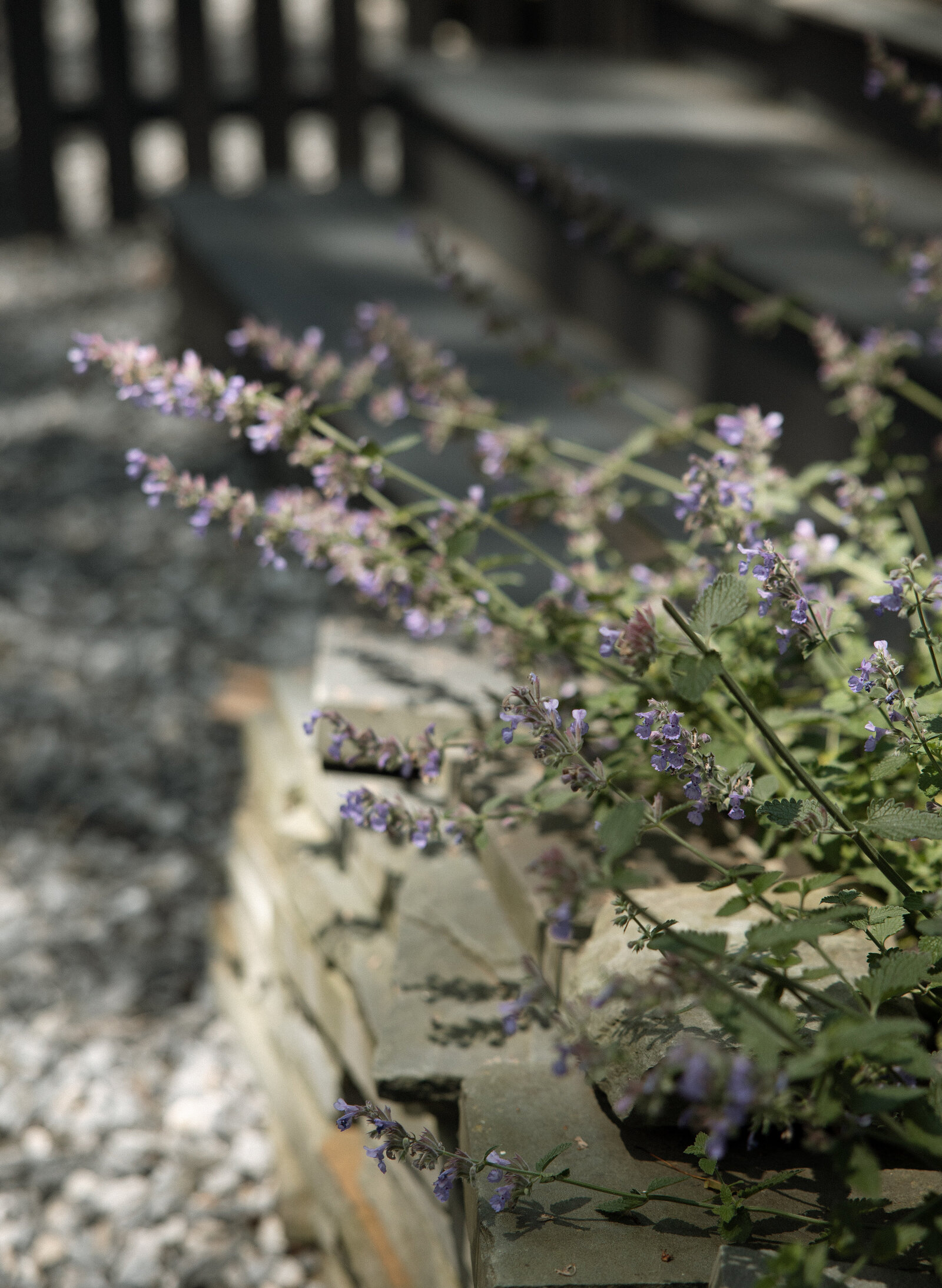 ClaireKreklowPhotography.-2792