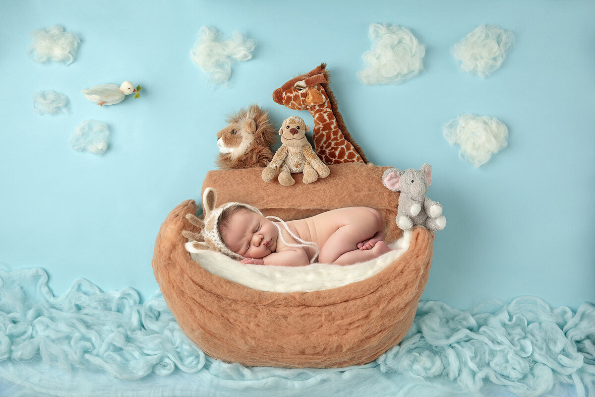 Newborn boy on Noah’s arc dressed as giraffe.