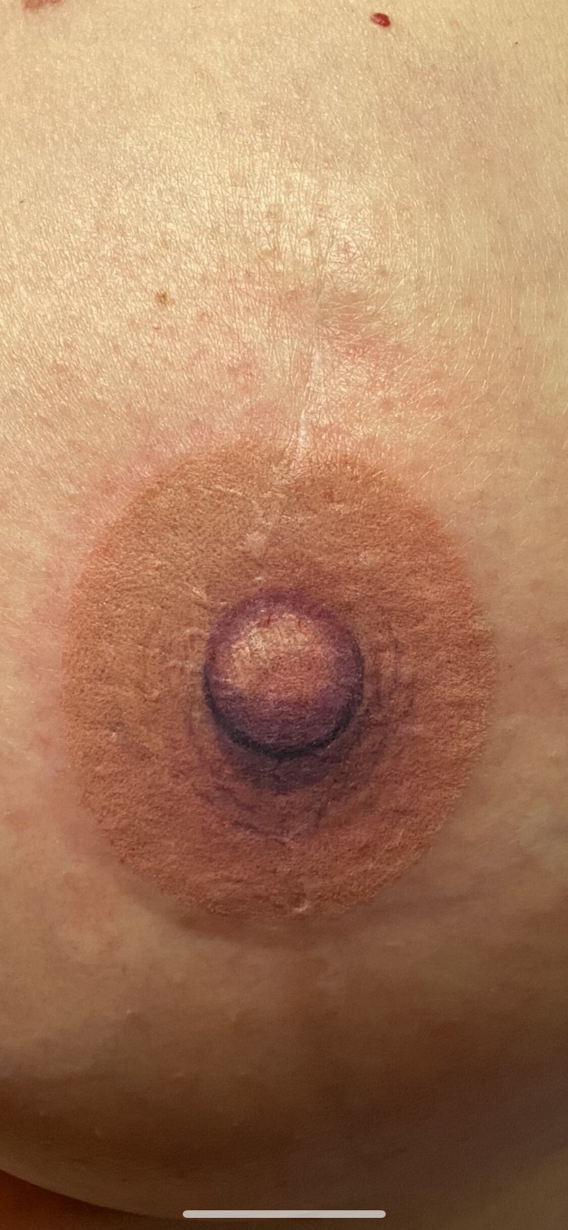 tattoo shops in charlotte nc best tattoo shops in charlotte nc best rated tattoo shops in charlotte nc charlotte nc tattoo shops nipple tattoo nipple tattoos 3d nipple tattoo nipple tattoos after mastectomy heart nipple tattoos