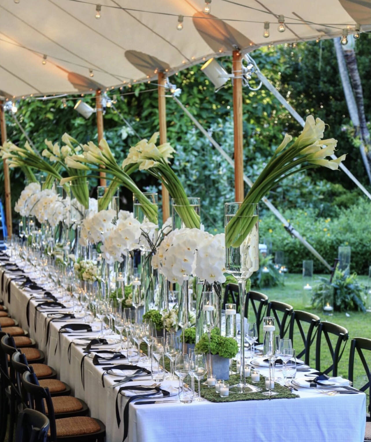 Molly+Ryan(Harpers)059