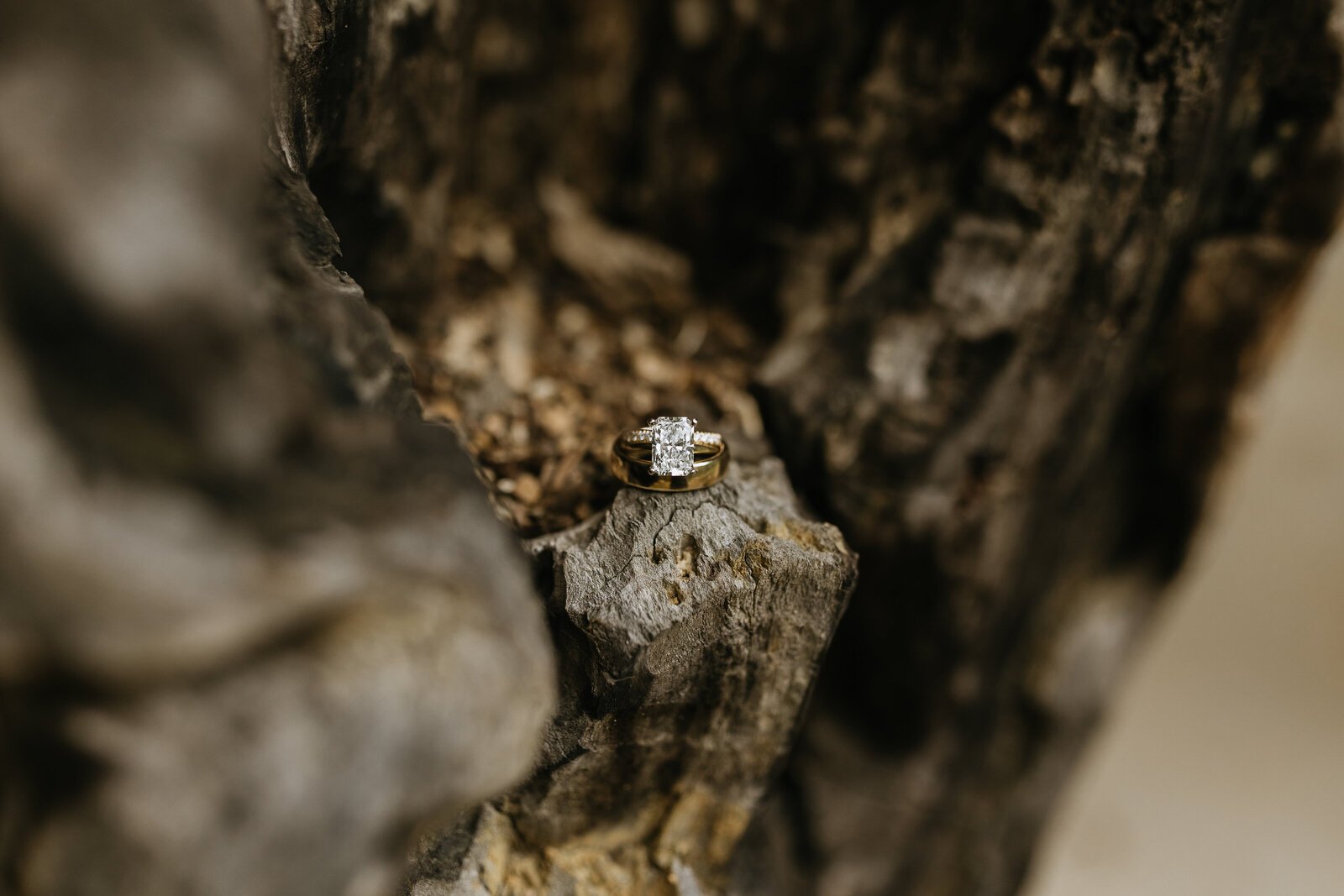 East-Tennessee-Wedding-Photographer-Videographer-Radiant-Mountain-Media-25