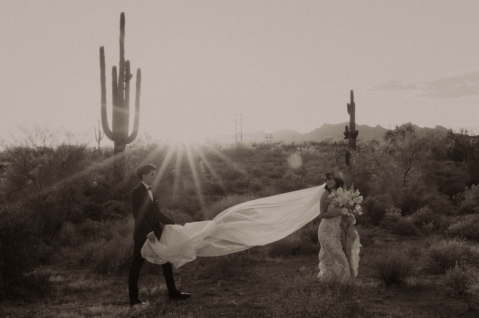 TheCarmonasWeddingAZ-921