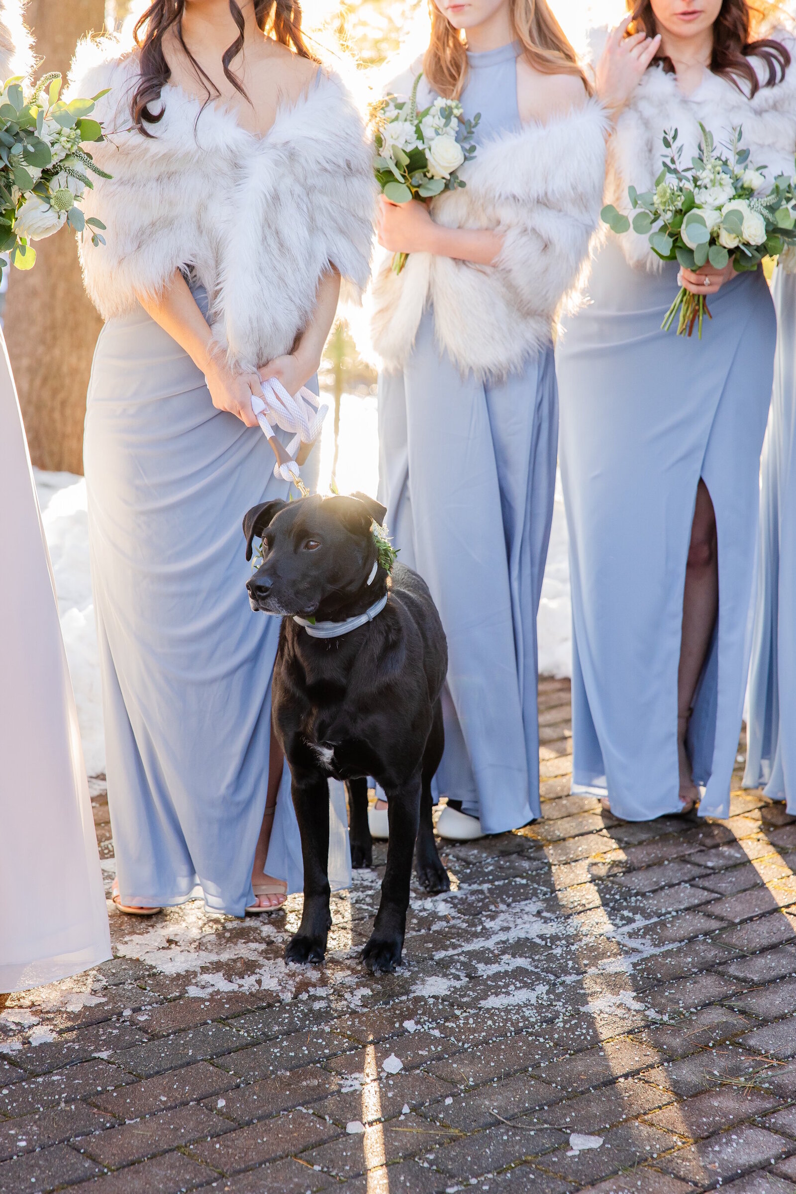 2025 02 22-Pavilion on Crystal Lake Wedding-Middletown CT-Amanda Jerry-00-BLOG-058