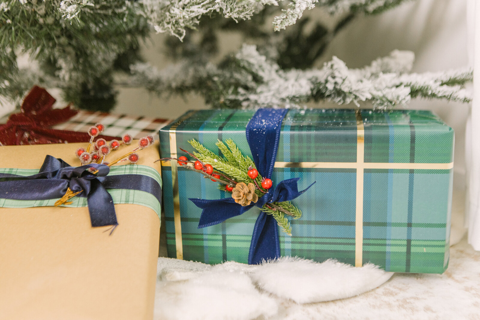 boise-christmas-minis-5