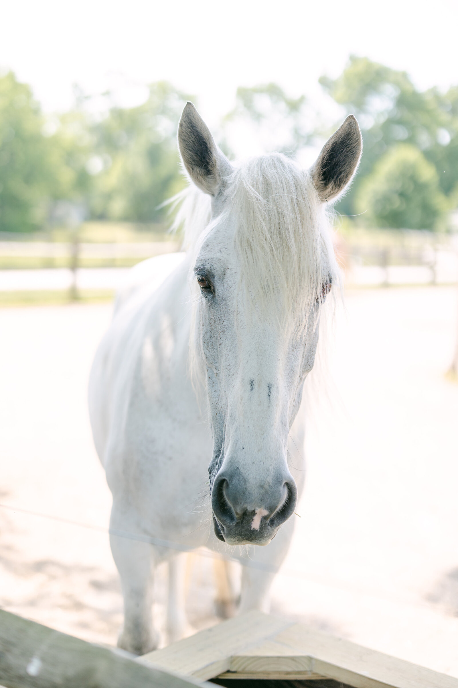 Claire&DavidMeshewaHouseWeddingCincinnatiWeddingKaleighTurnerPhotography-1
