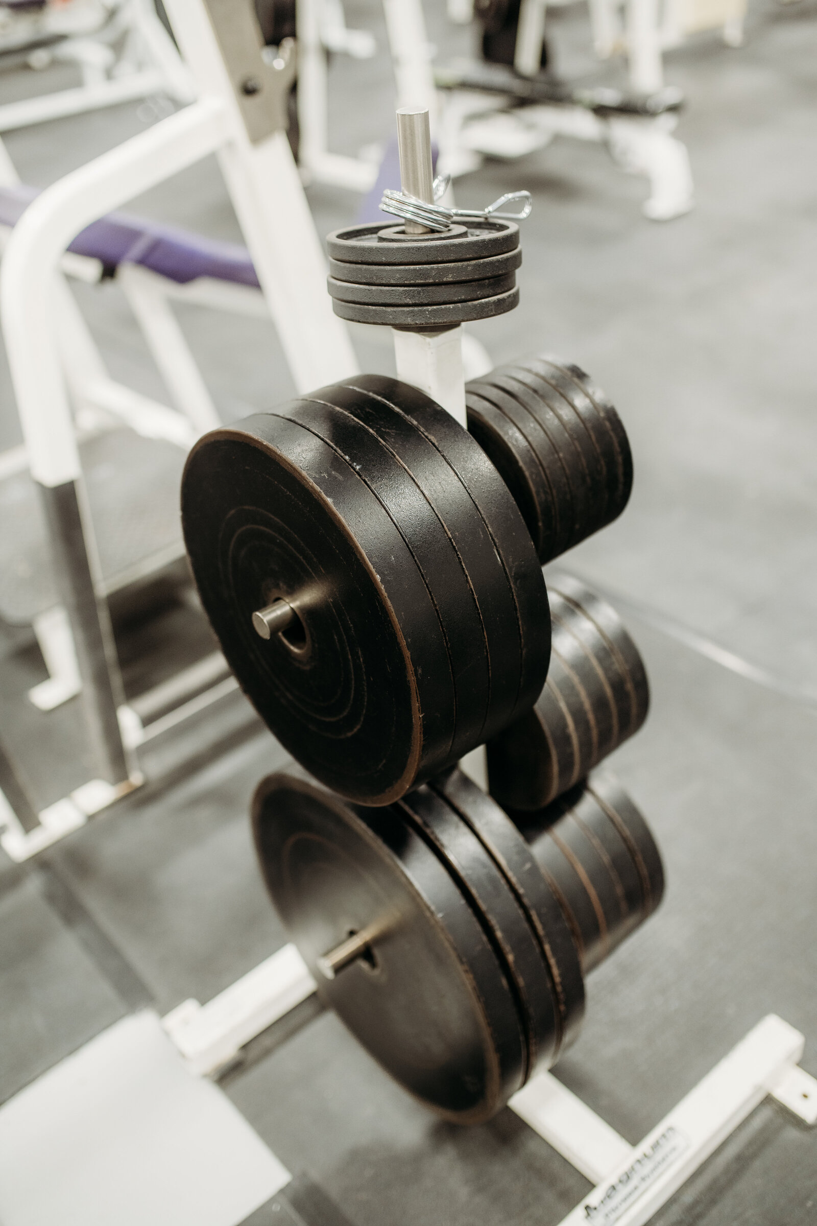 SMT_TheGym51