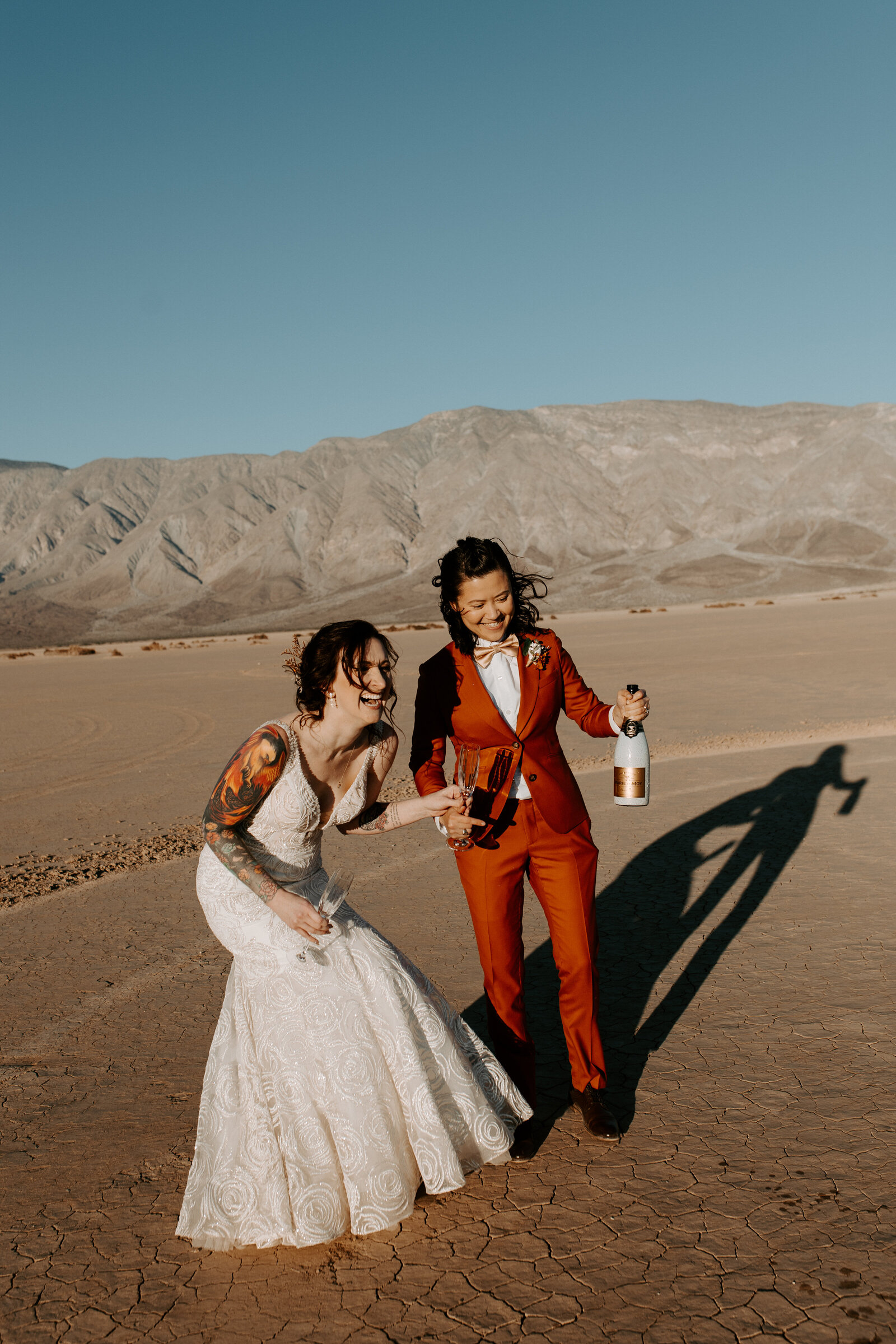 Desert Elopement in Anza Borrego