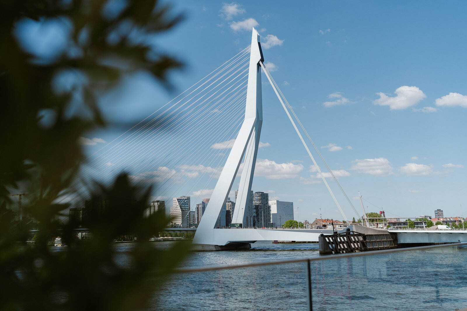 Daphnebaronfotografie-146