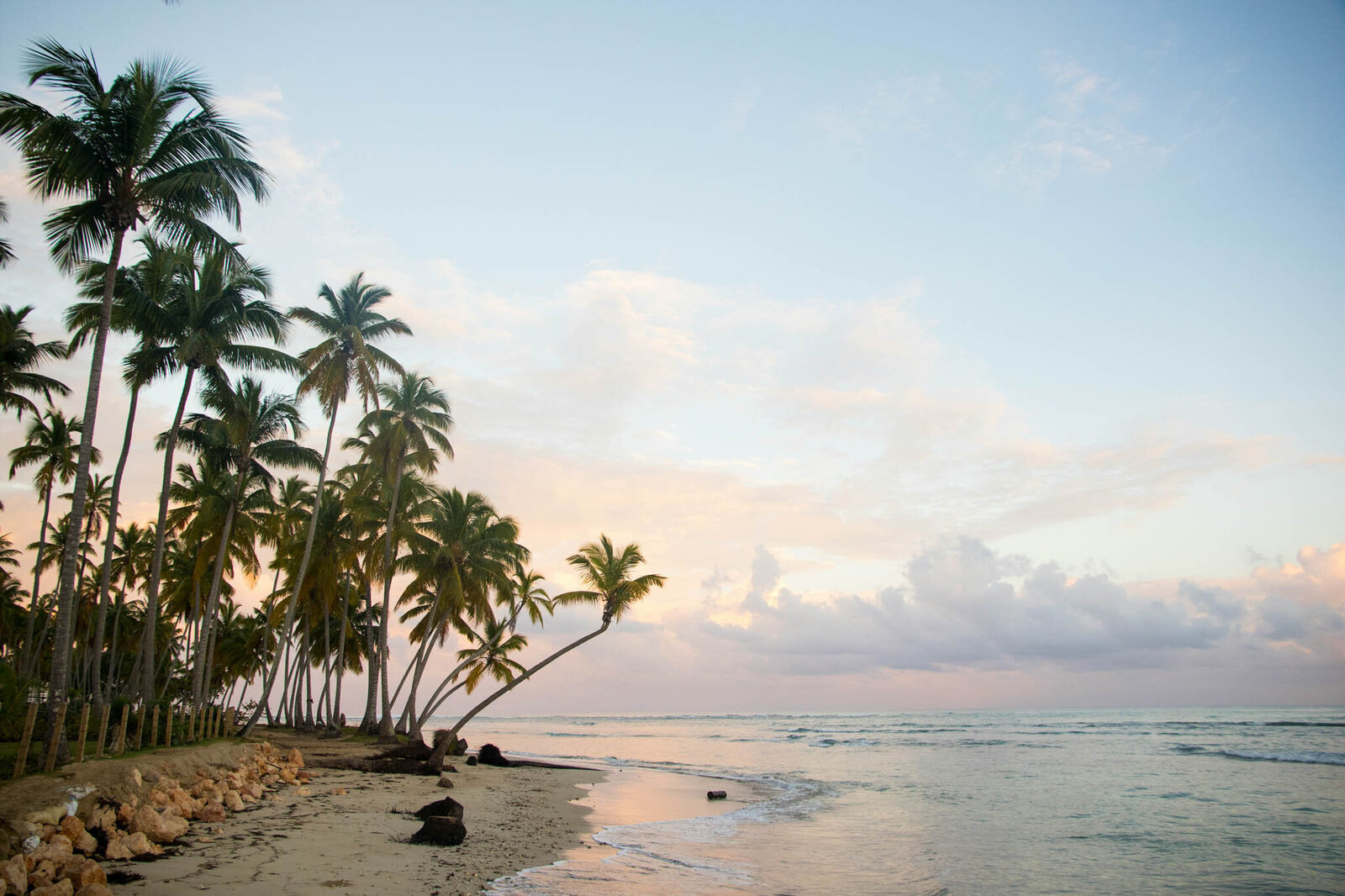 A serene beach scene with tall, slender palm trees lining the shore evokes the essence of Caribbean getaways. The sky blends soft blue and pastel pink hues as the sun sets, while gentle waves lap at the sandy coast, creating a tranquil atmosphere.