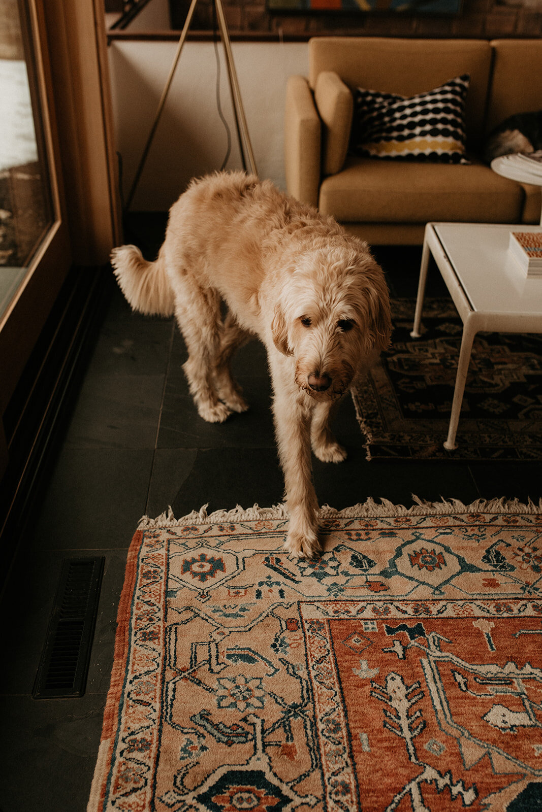 014_Amanda_Tommy_Minimony_12.19.20-114