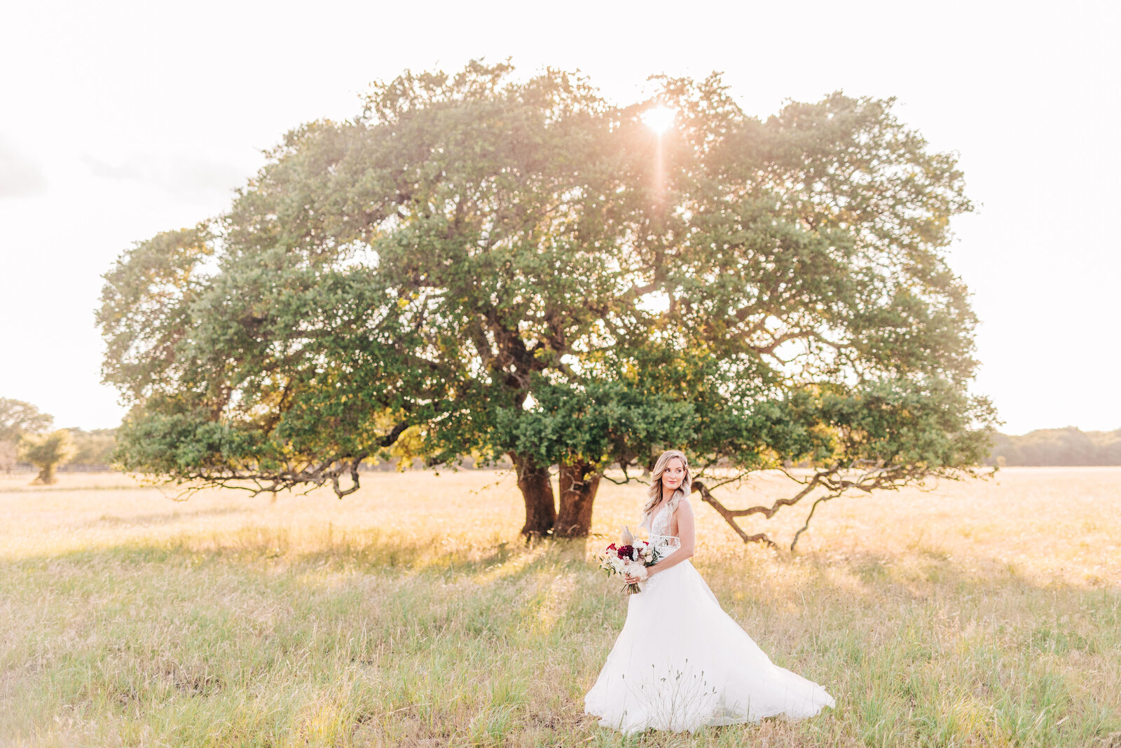 Laci_Bridals-170