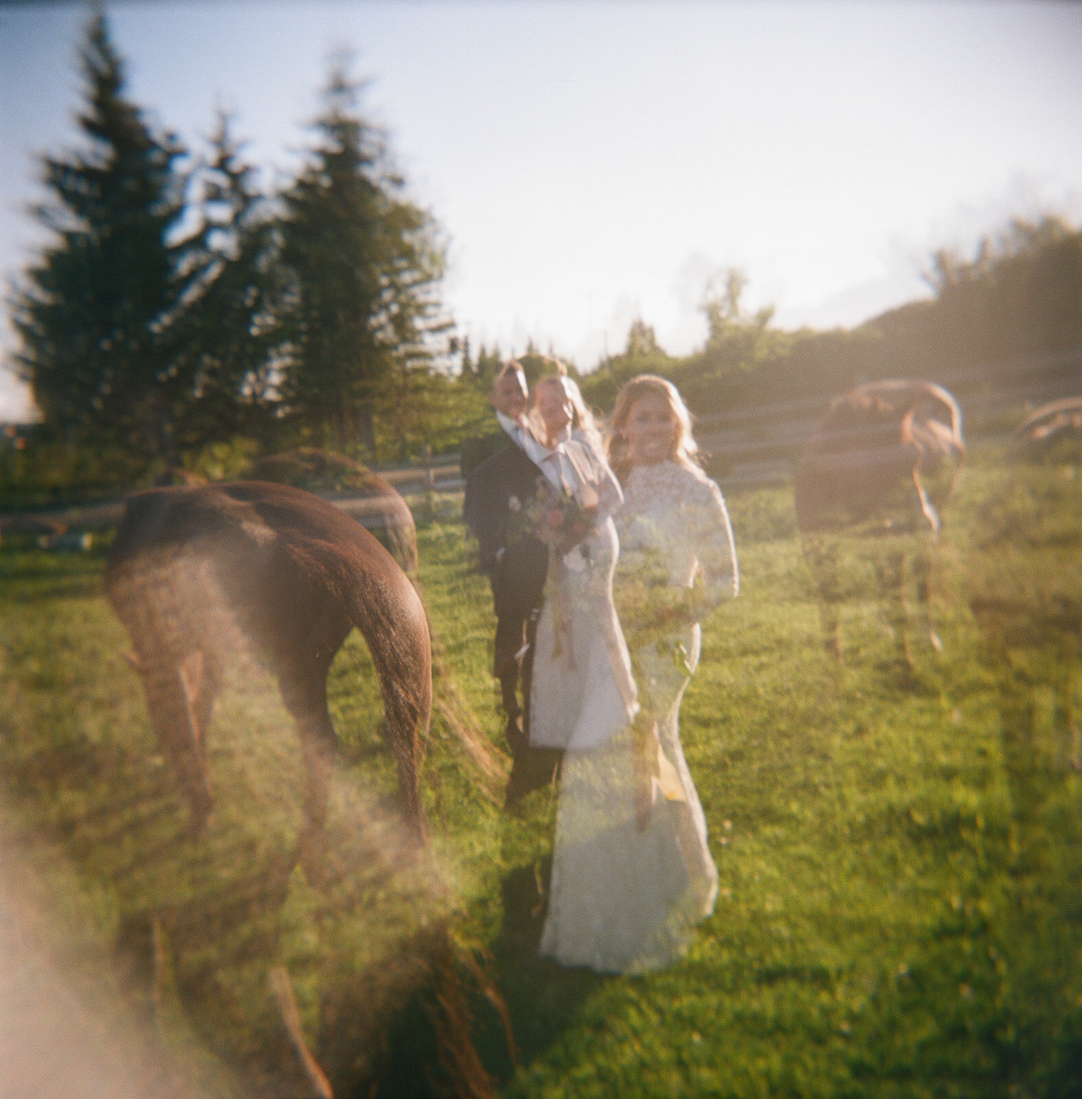 zoya-dawn-alaska-film-wedding-photographer-264