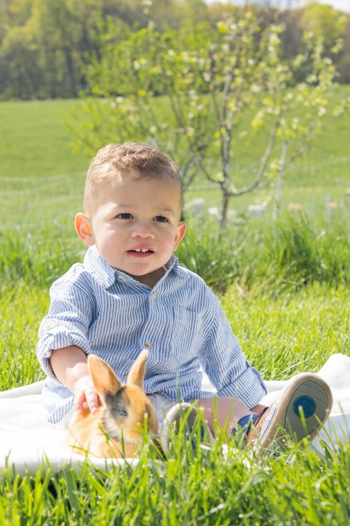 Spring_Mini_Session