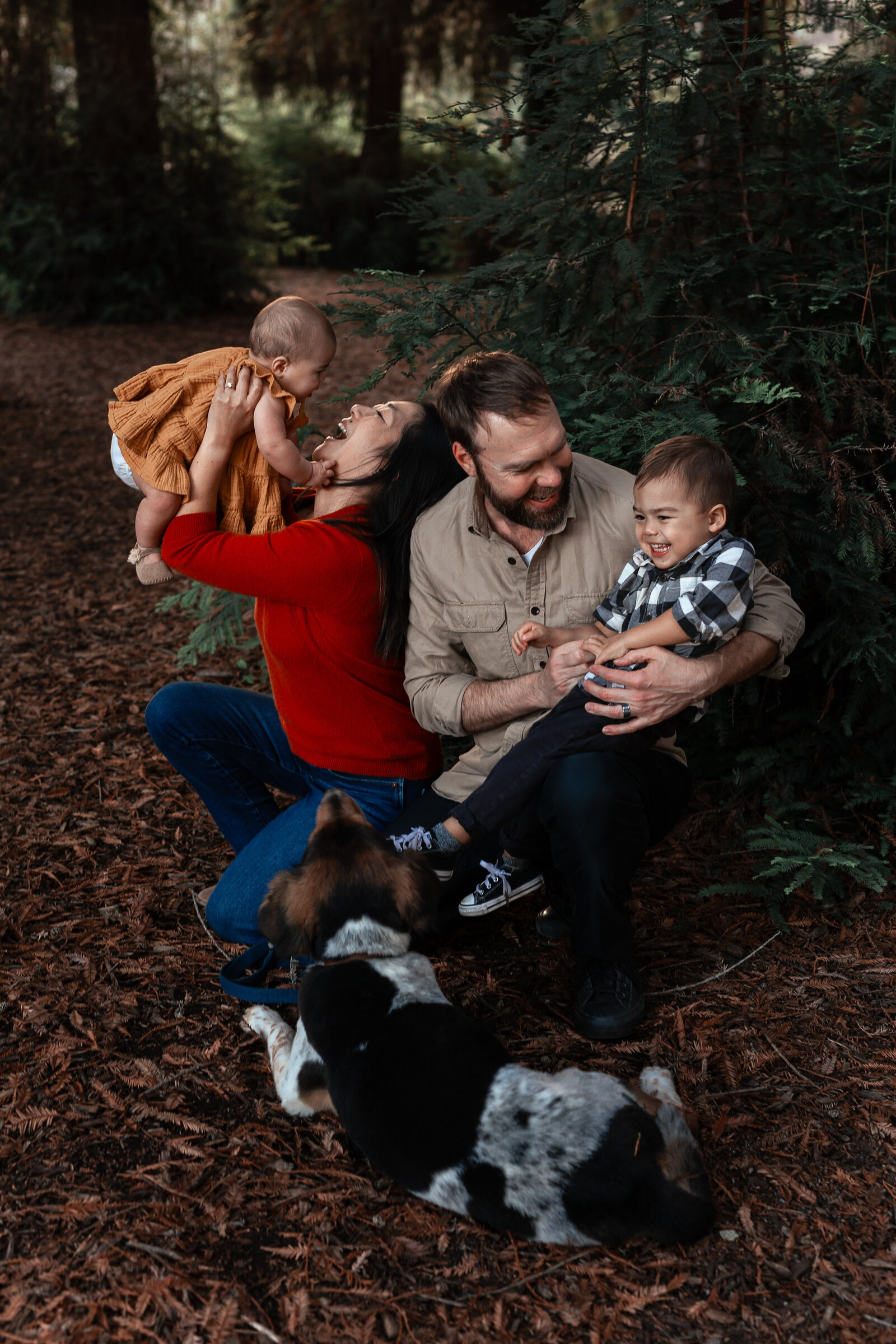 tahnee-harris-photography-whitney-family-portraits-redwood-grove-6