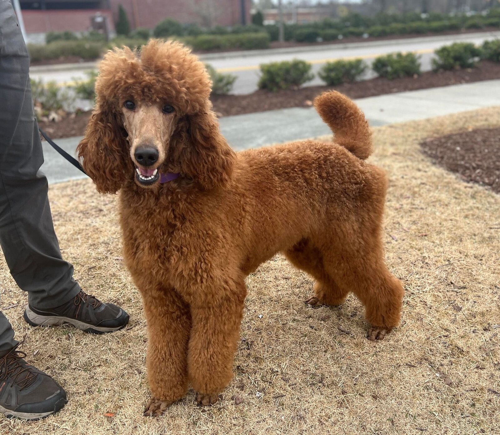 tater16months