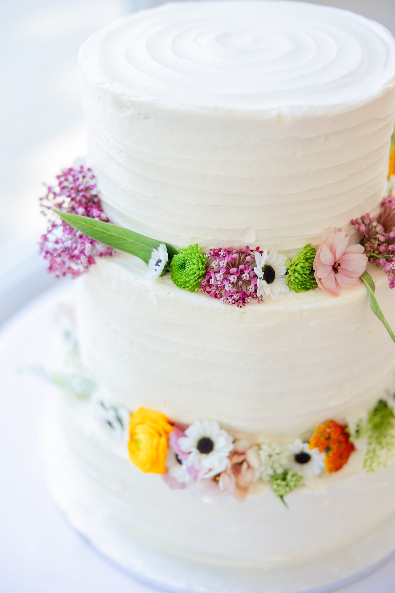 20240615-Monument Beach-Cape Cod Wedding-Erin Dan-00-WEBSITE-120