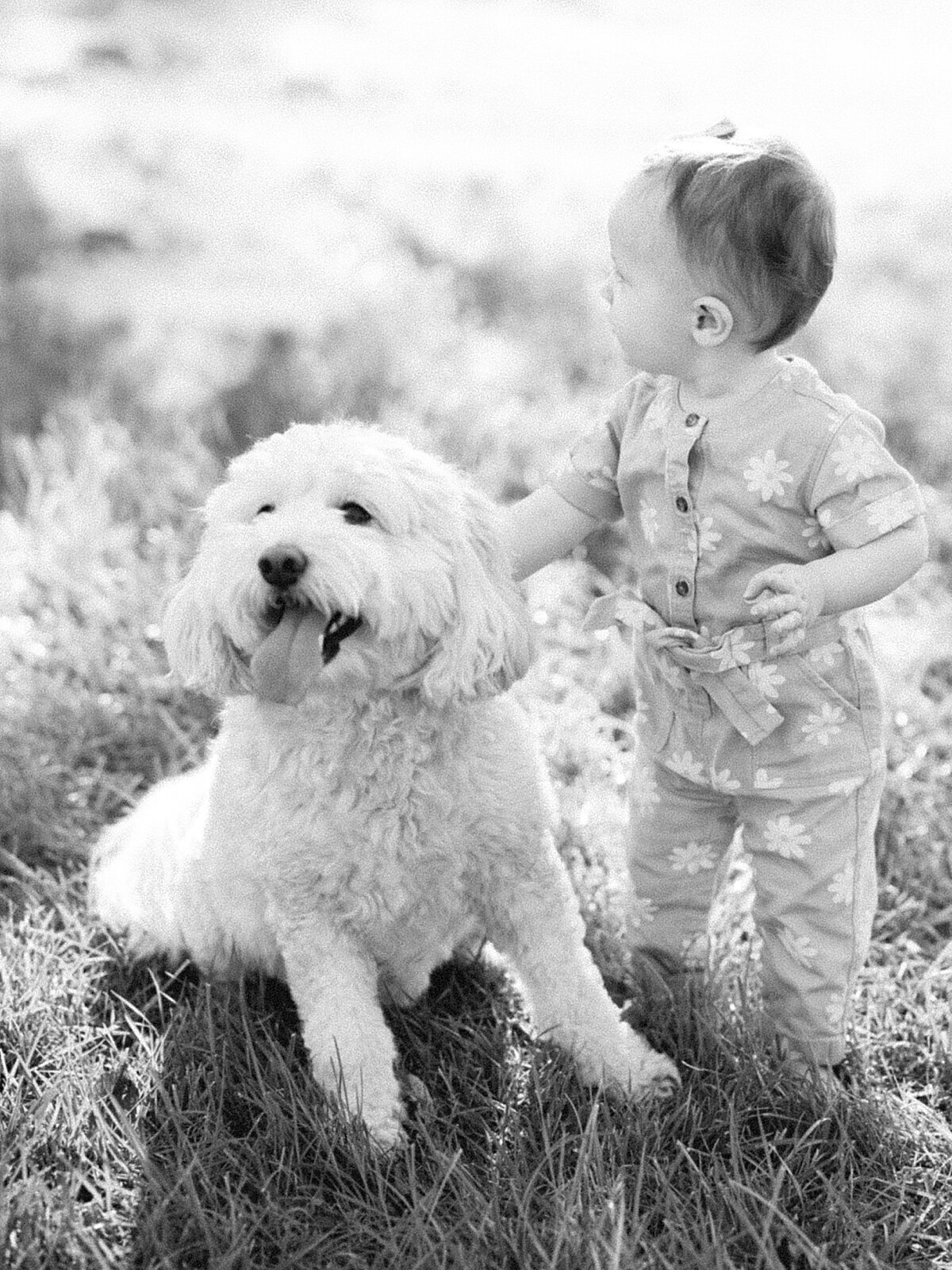 Winchester Virginia Family Photography Sarah Botta Photography_8