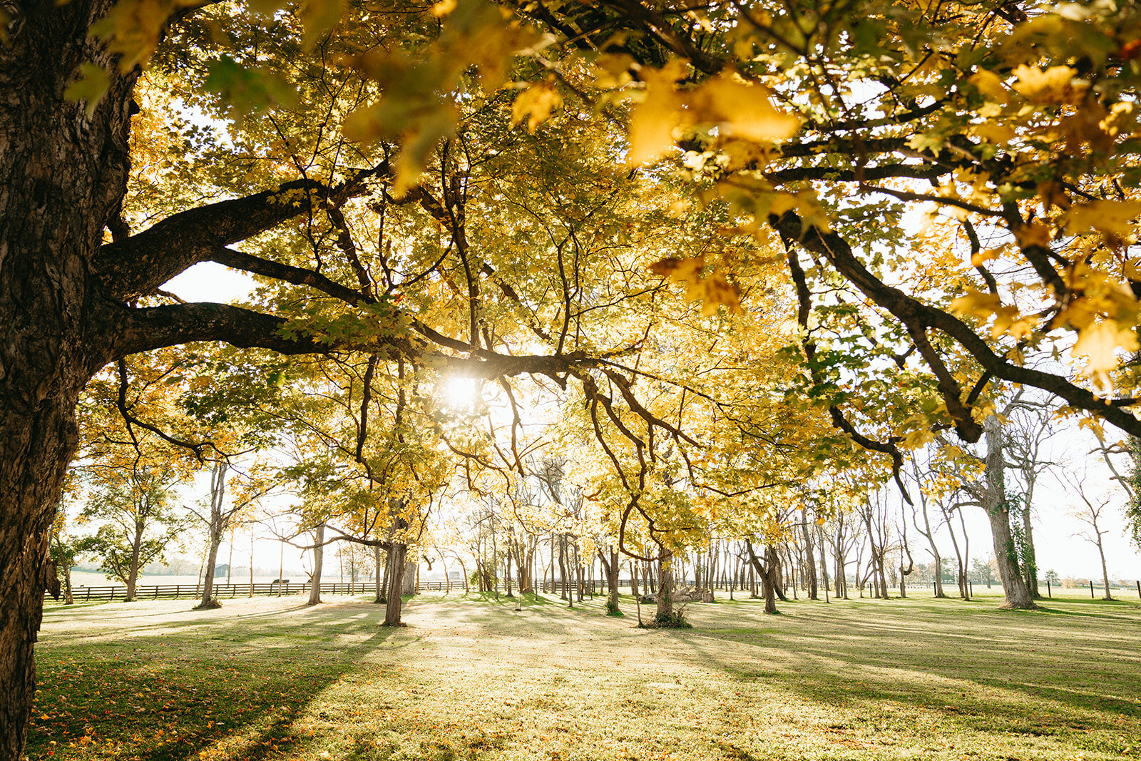 Heartland of versailles kentucky wedding venue home