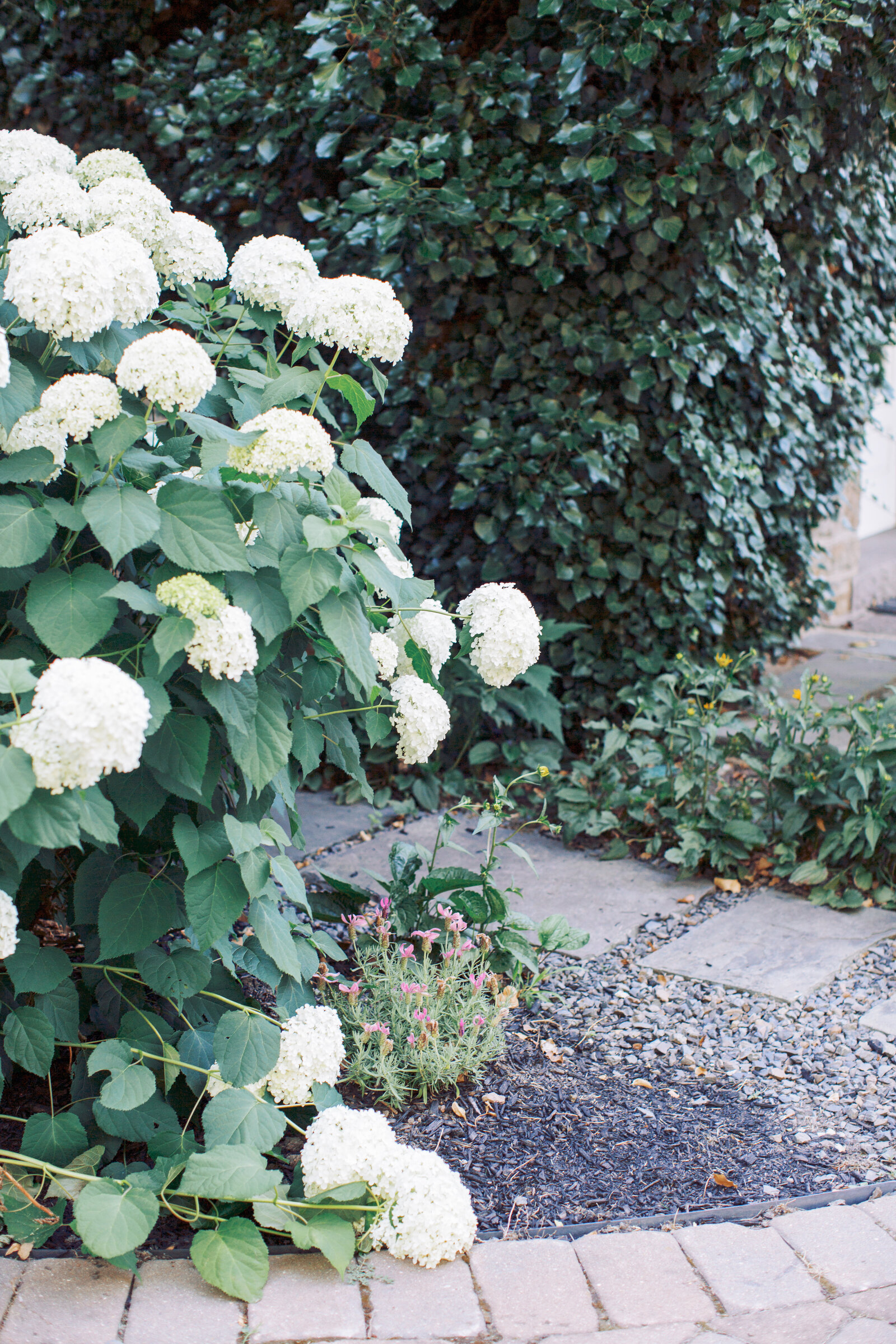 theinnatbarleysheaffarm-4436