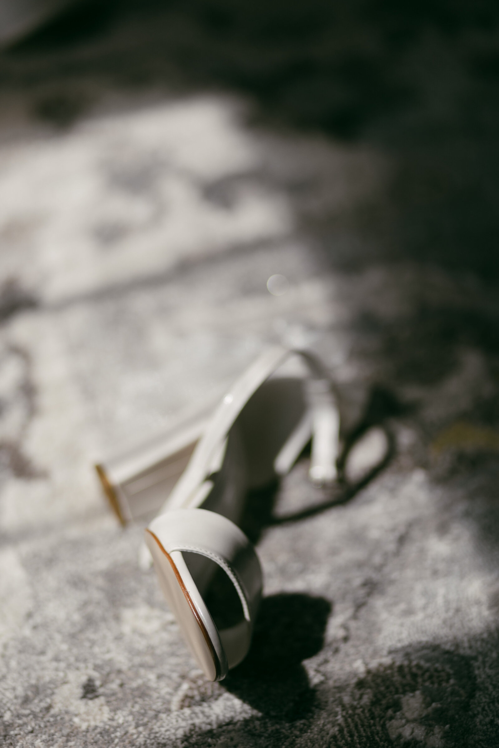 minneapolis-wedding-photos-63