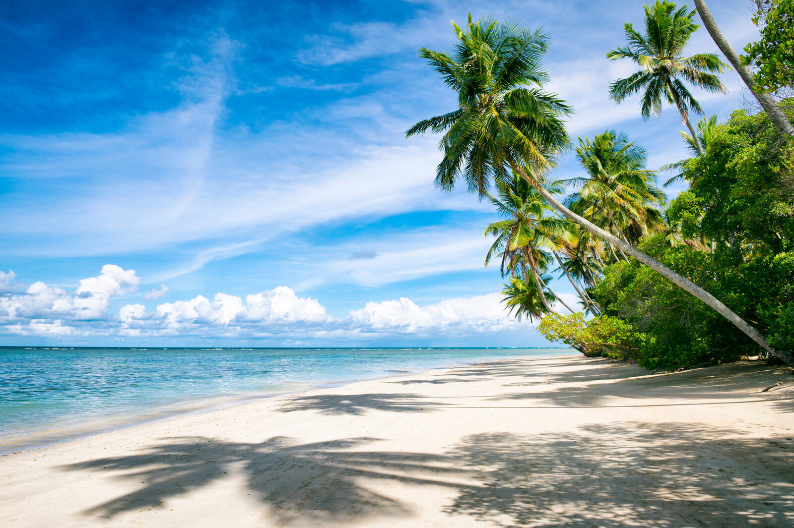 House-of-travel-dbq28
