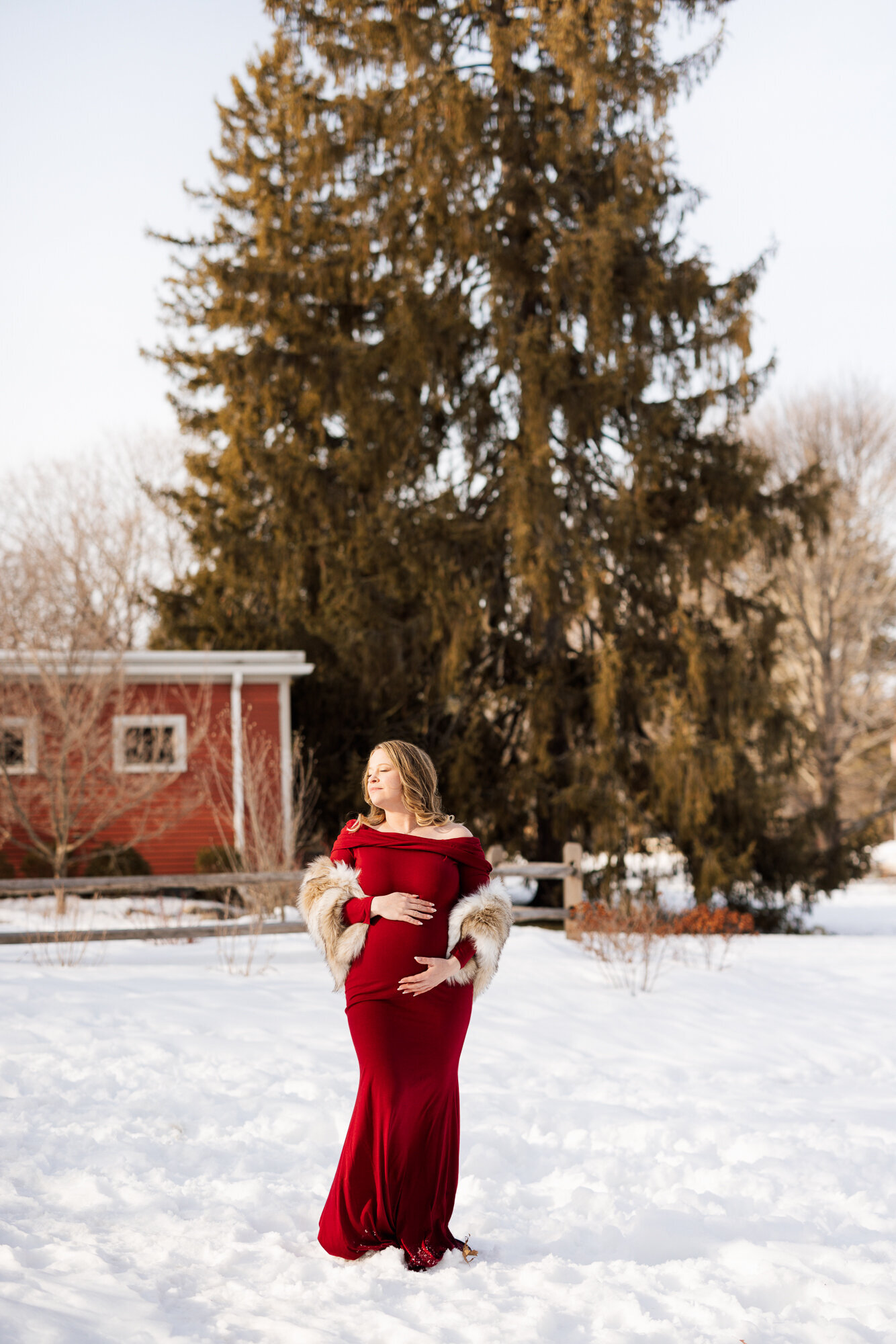 Boston-Newborn-Photographer-Alana-Sousa--22