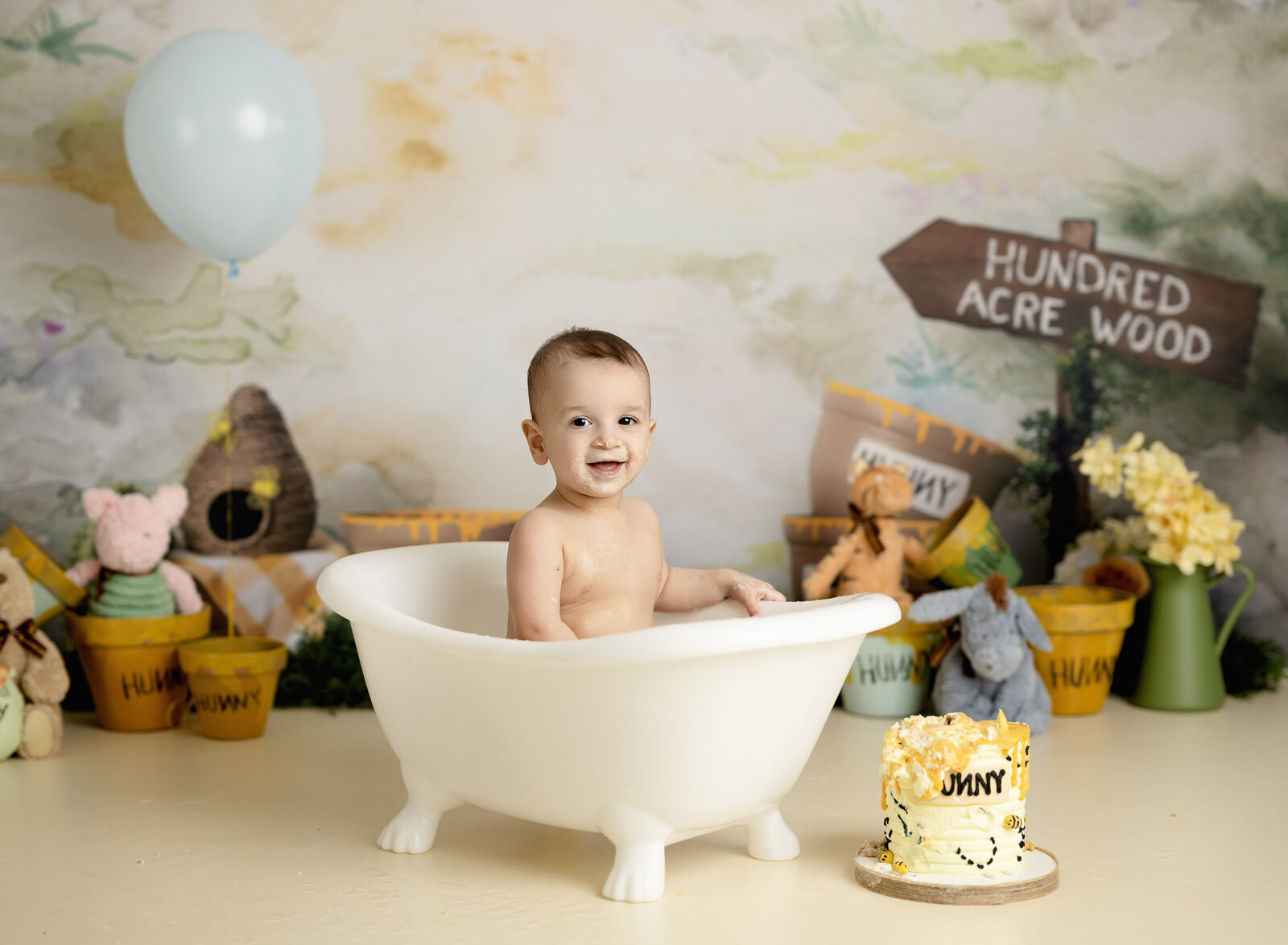 winnie the pooh 1st birthday photoshoot