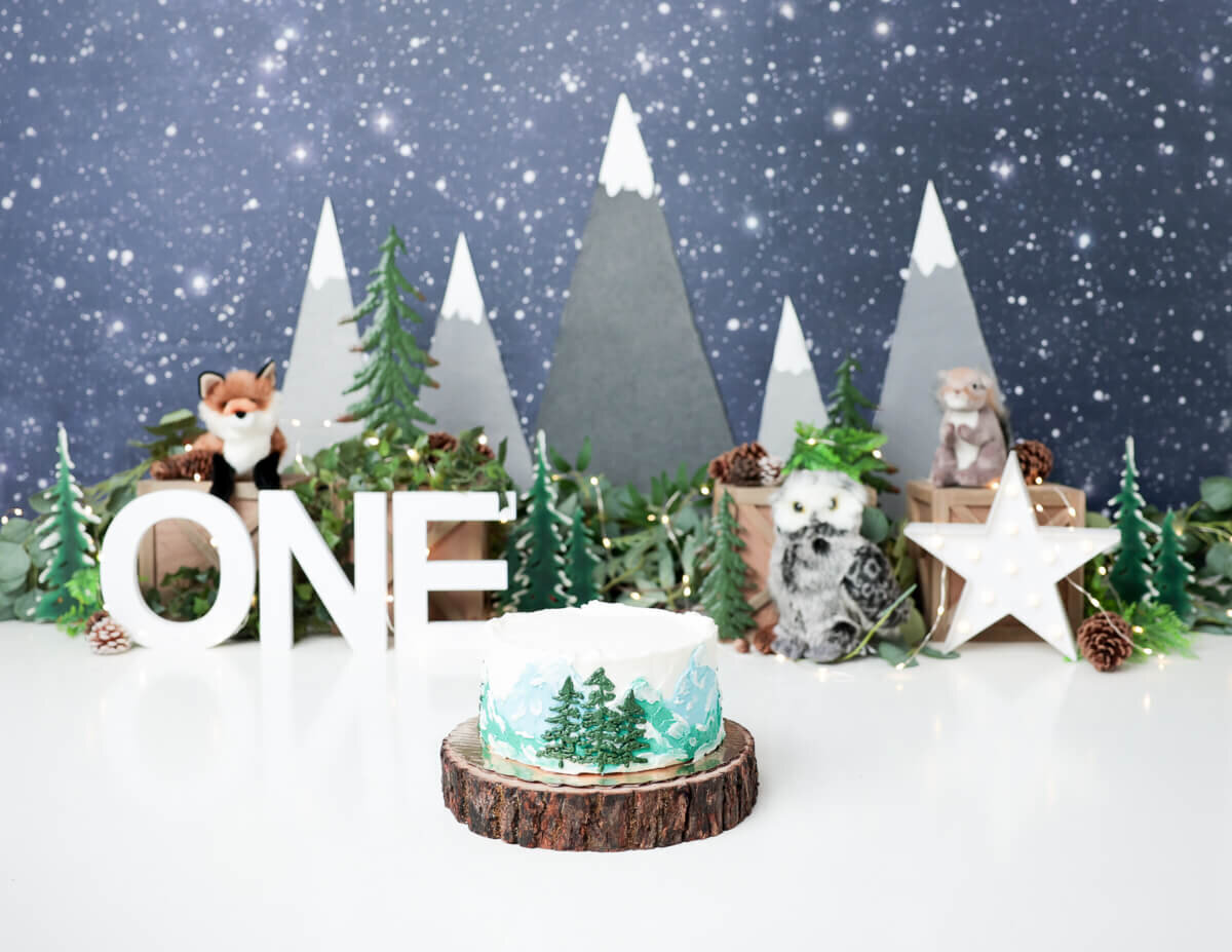 Mountain and wilderness cake smash at our Rochester, NY studio.