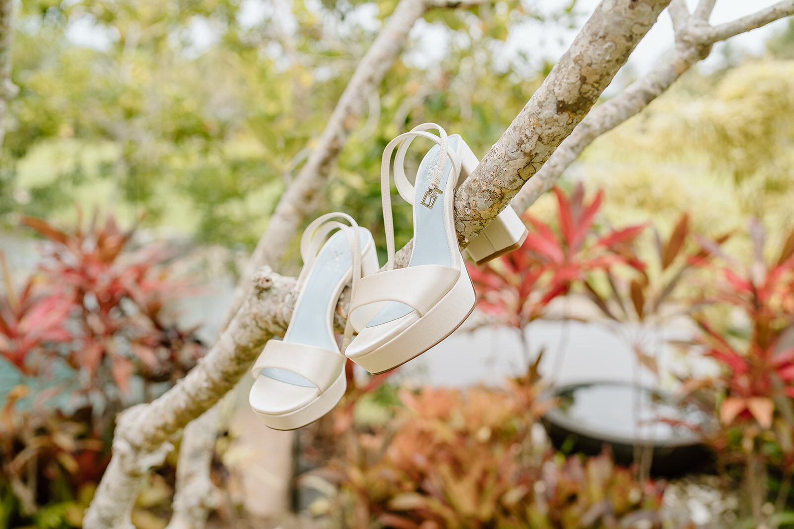 Lia&Travis-Coast&Pines-1